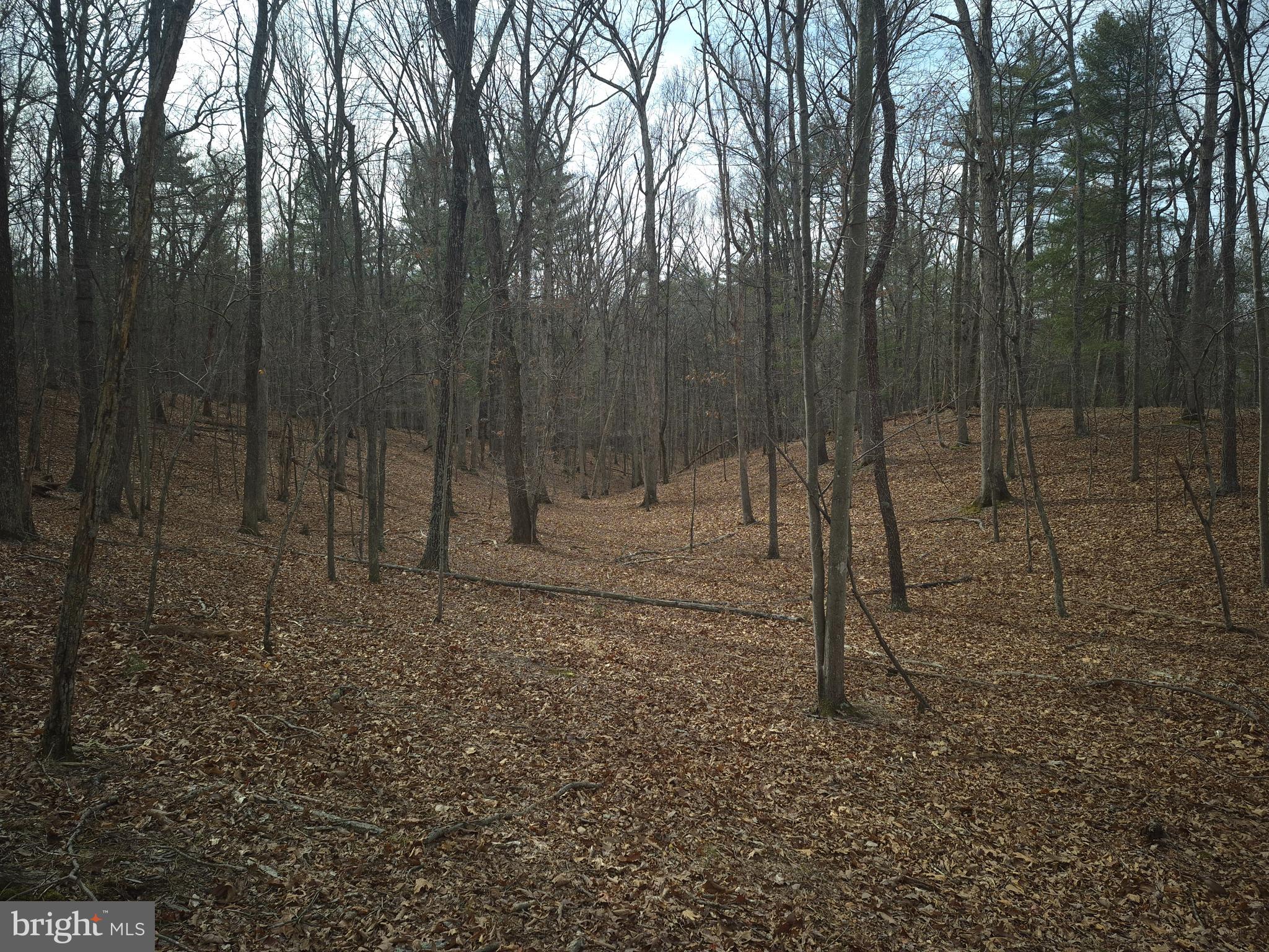 BACK CREEK HEIGHTS - Land