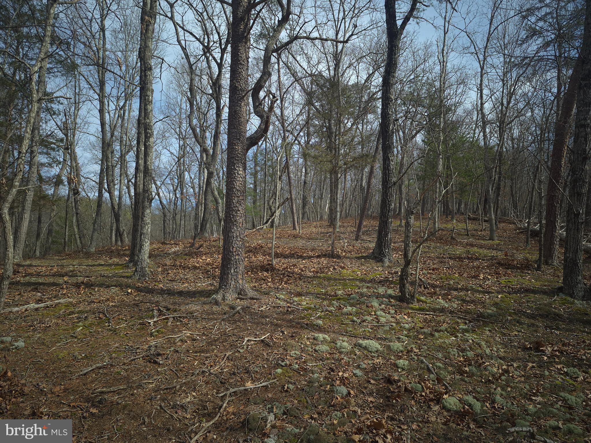 BACK CREEK HEIGHTS - Land