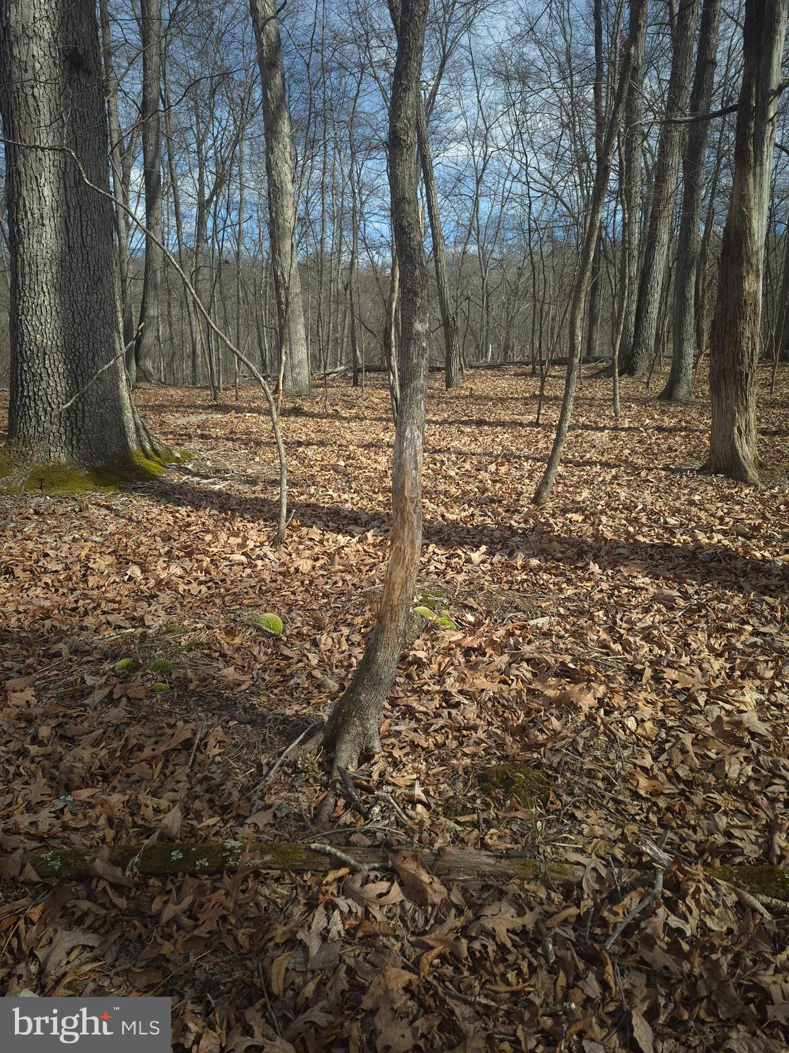 BACK CREEK HEIGHTS - Land