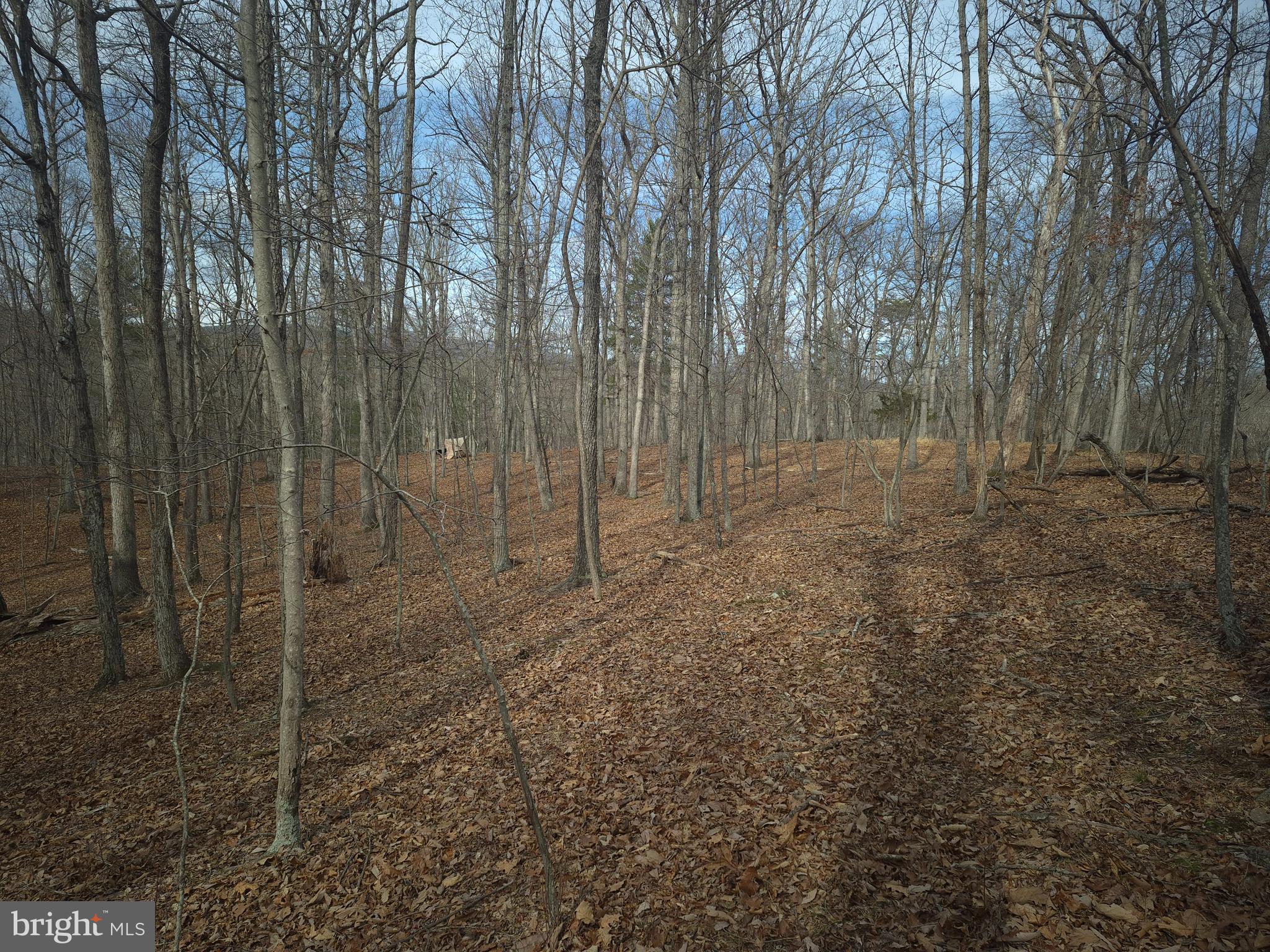 BACK CREEK HEIGHTS - Land