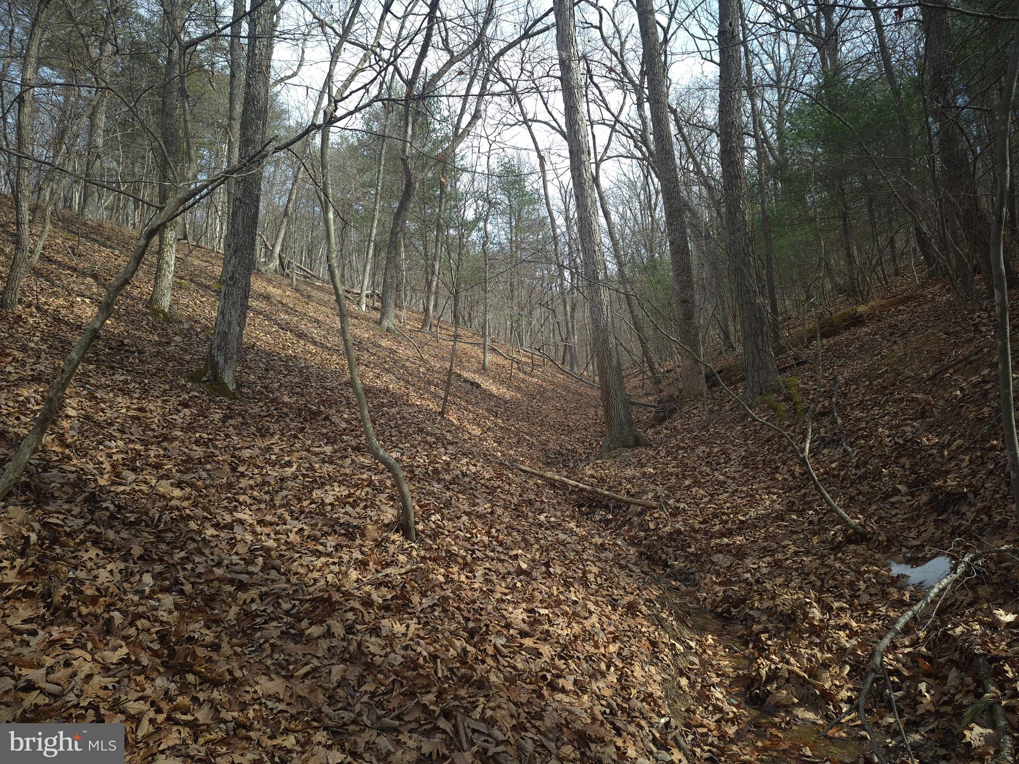 BACK CREEK HEIGHTS - Land