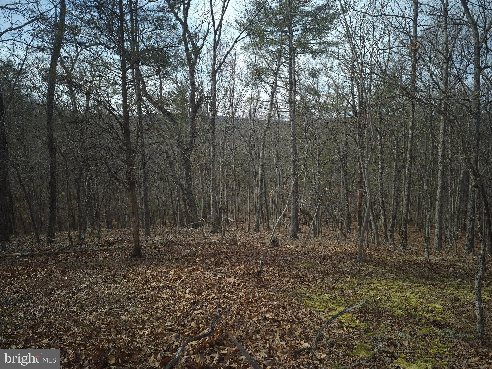 BACK CREEK HEIGHTS - Land