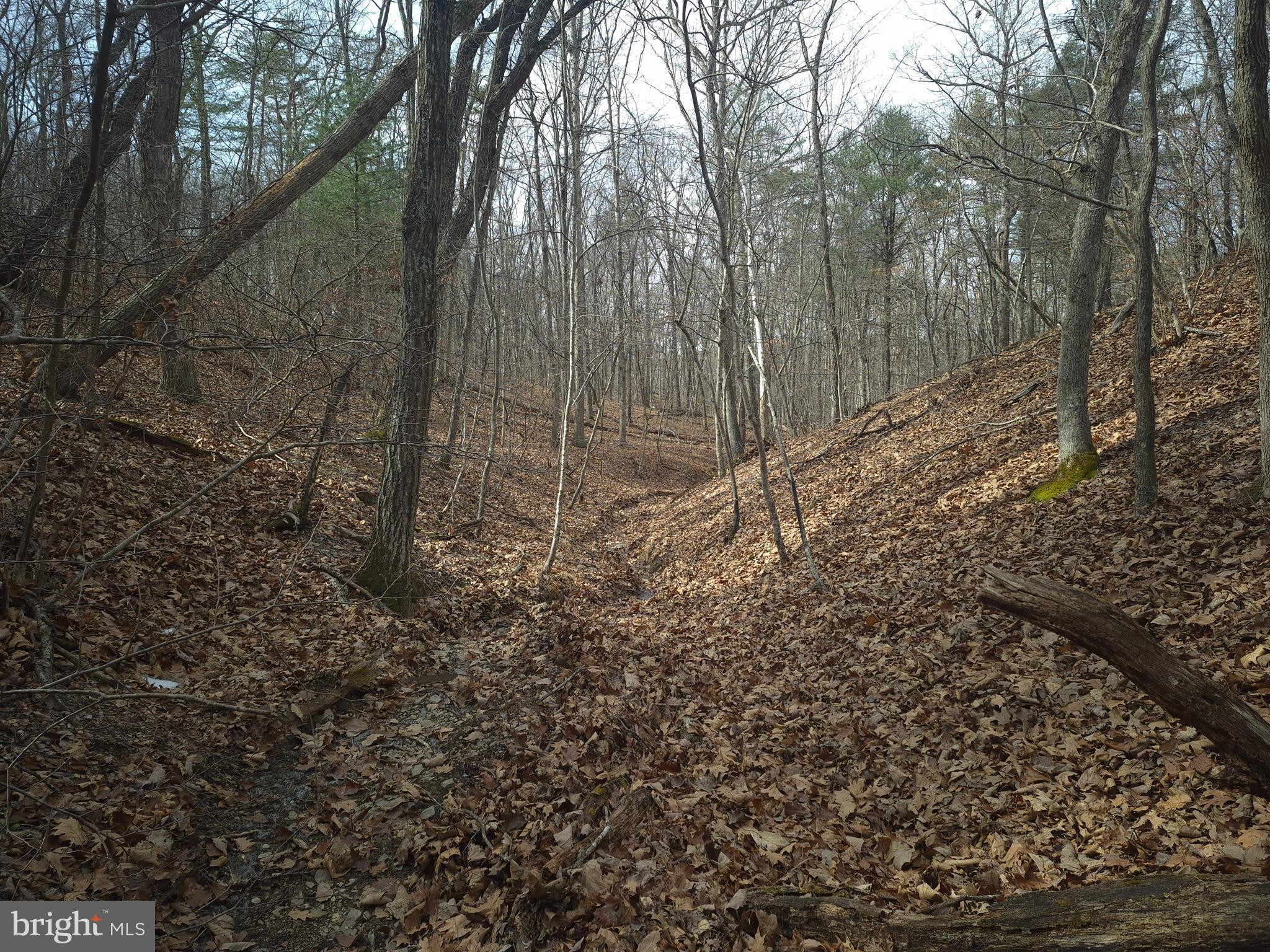 BACK CREEK HEIGHTS - Land