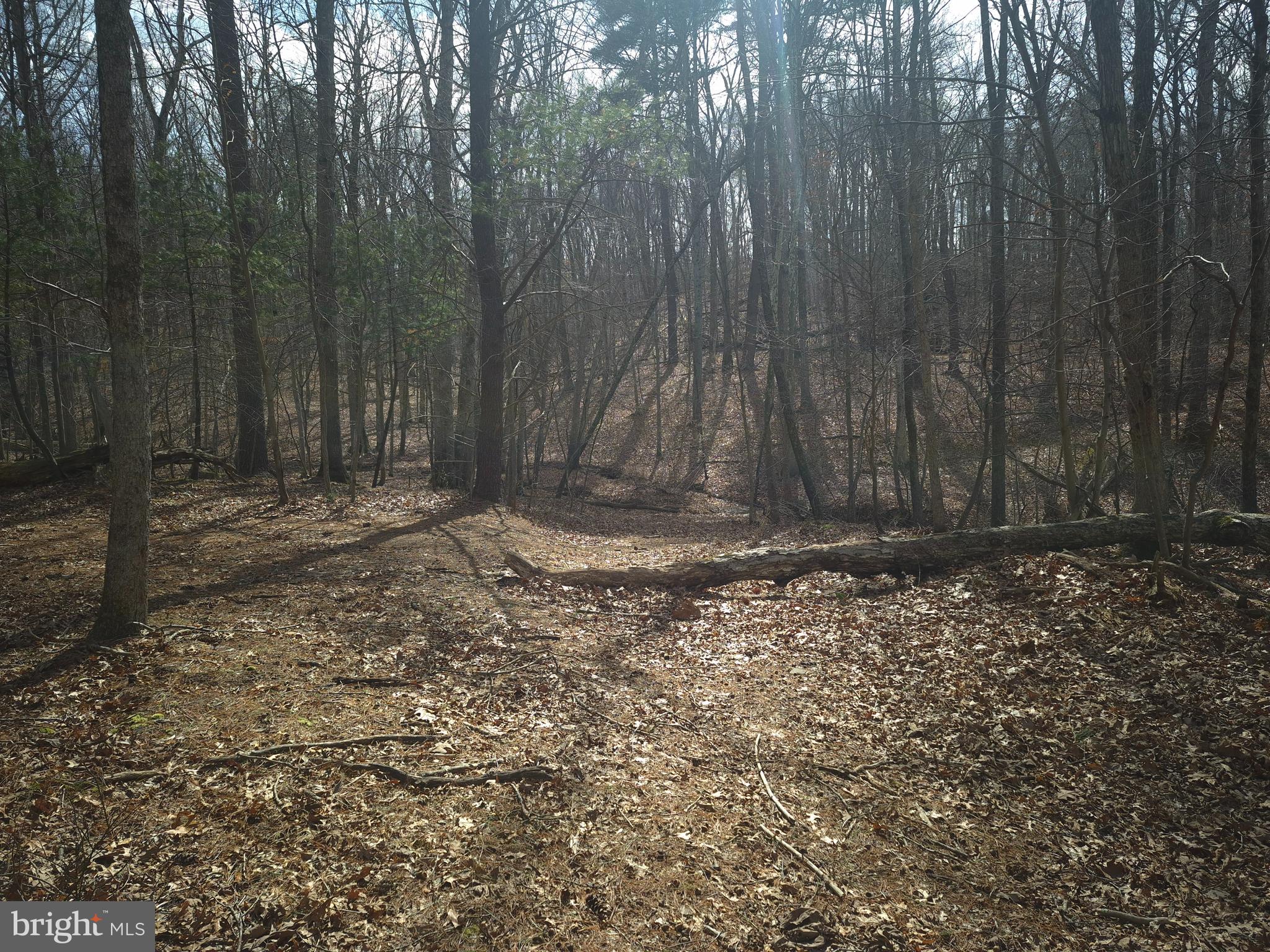 BACK CREEK HEIGHTS - Land