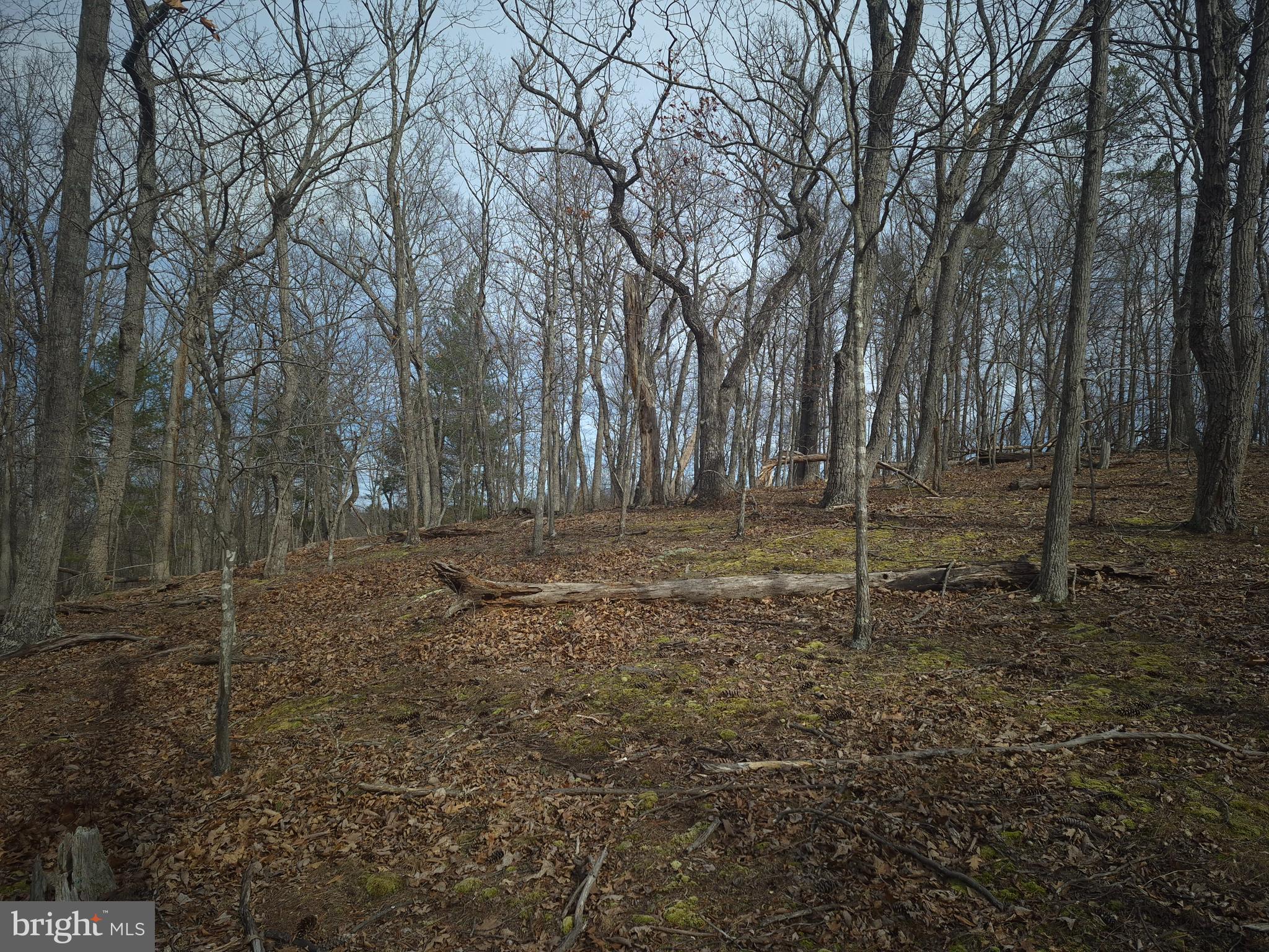 BACK CREEK HEIGHTS - Land