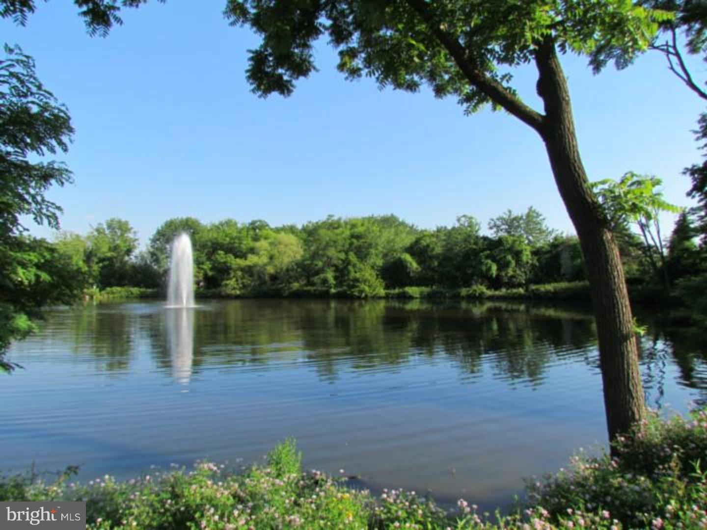 OXFORD OF BLUE BELL - Residential