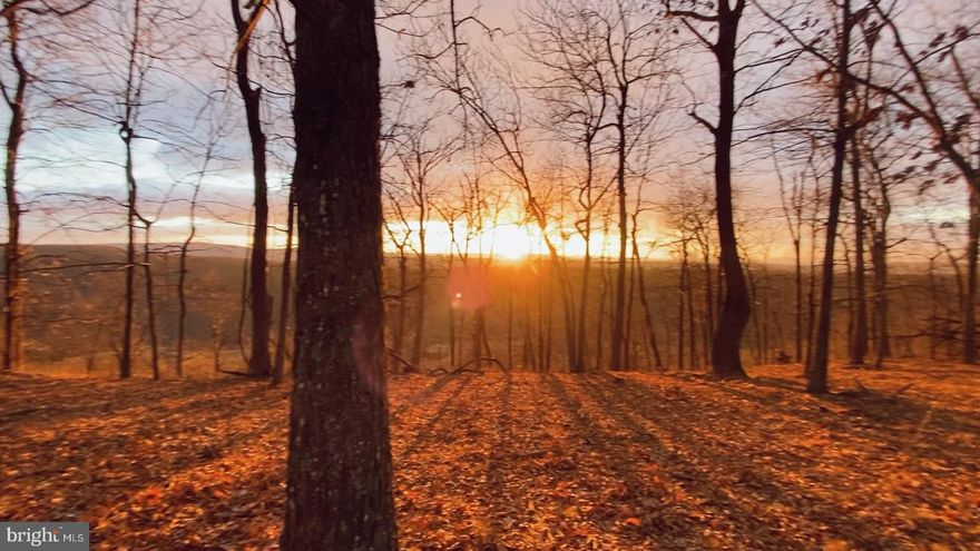 10-acre wooded building lot recently surveyed, very secluded yet easy to access from a township road, located minutes away from Pa State Game Lands, this site is in Clean and Green.