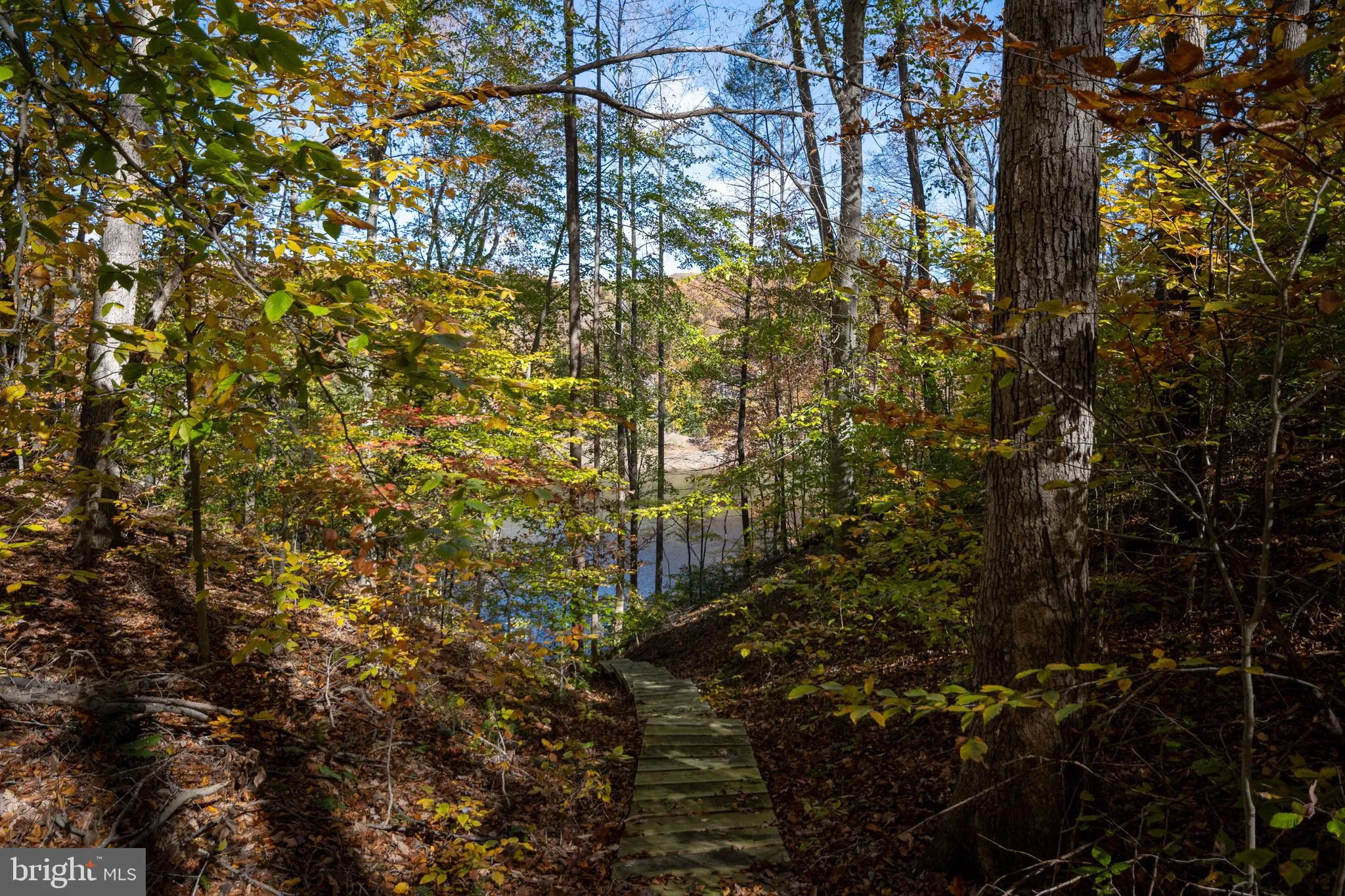 Stafford, Virginia 22556, United States, 6 Bedrooms Bedrooms, ,4 BathroomsBathrooms,Residential,Active,253043