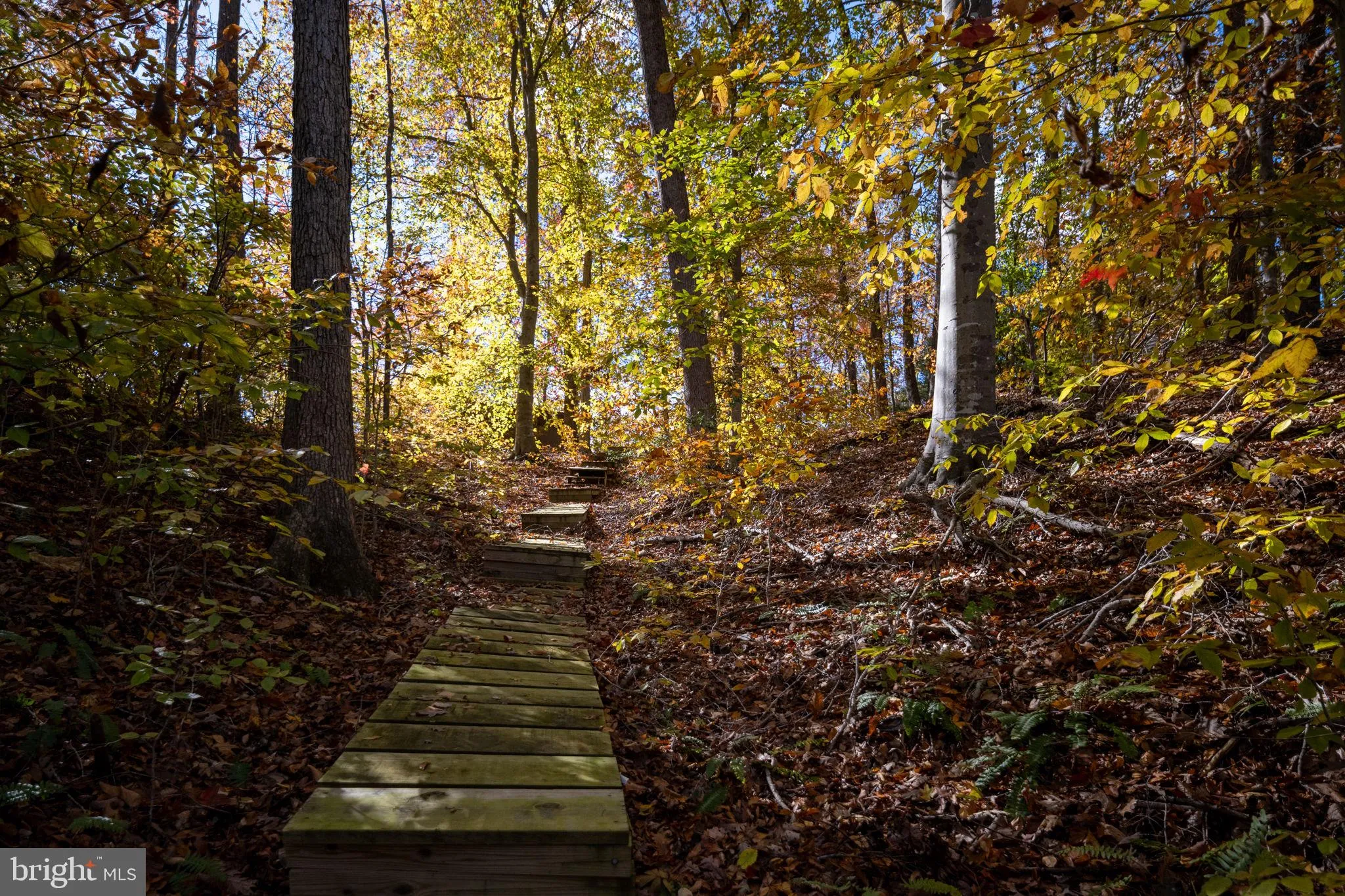 Stafford, Virginia 22556, United States, 6 Bedrooms Bedrooms, ,4 BathroomsBathrooms,Residential,Active,253043