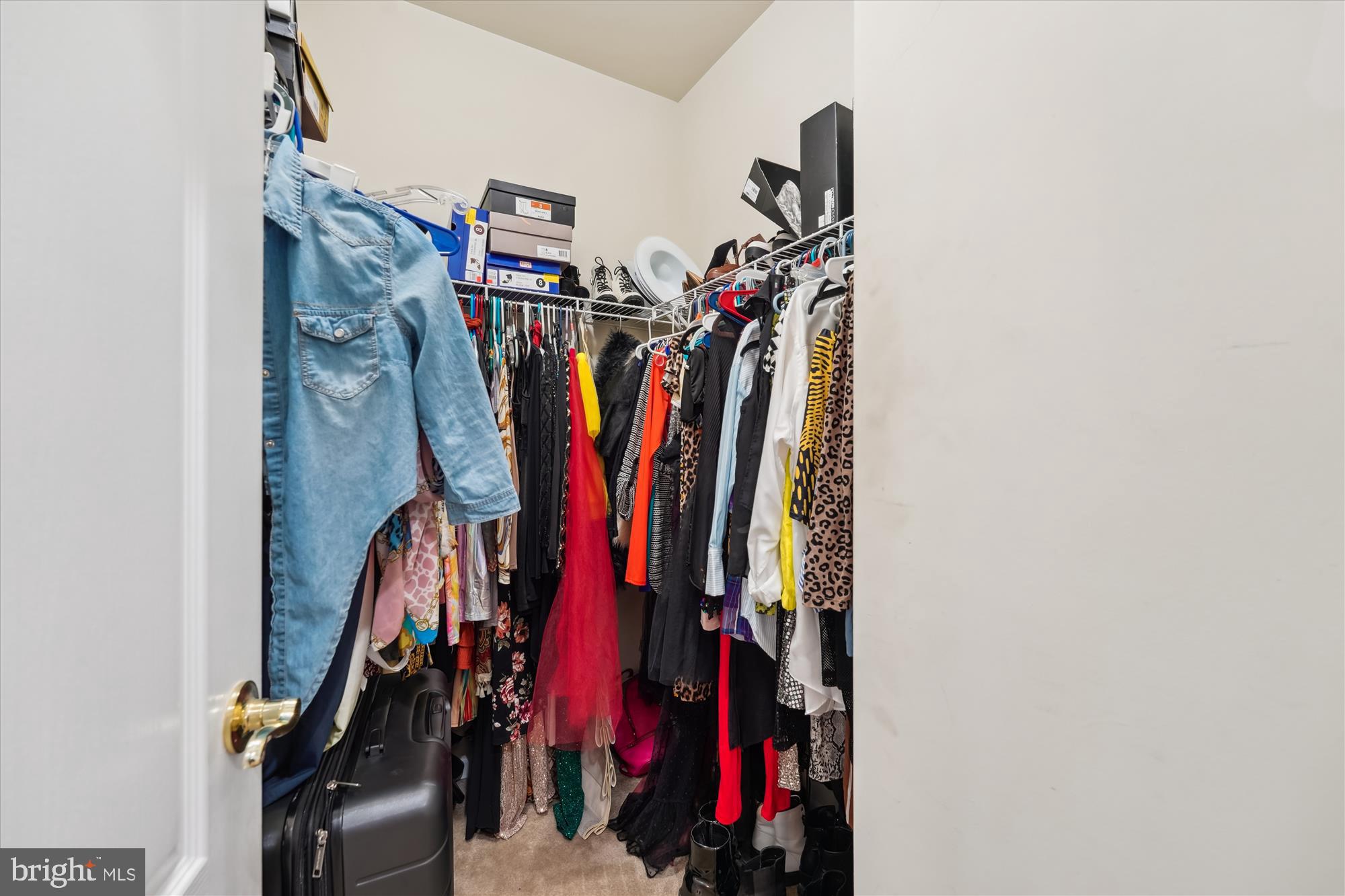 LAKEVIEW AT BRANDYWINE - Residential