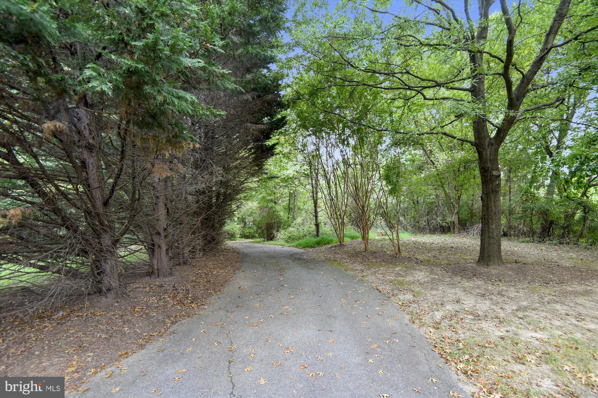 HEIGHTS AT PENDERBROOK - Residential