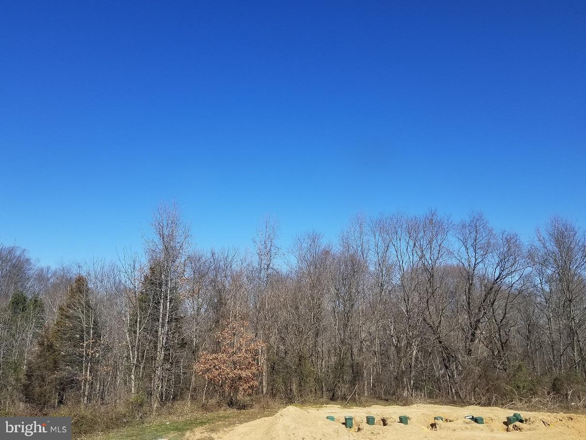 CLARK'S REST   PHASE 1A - Residential