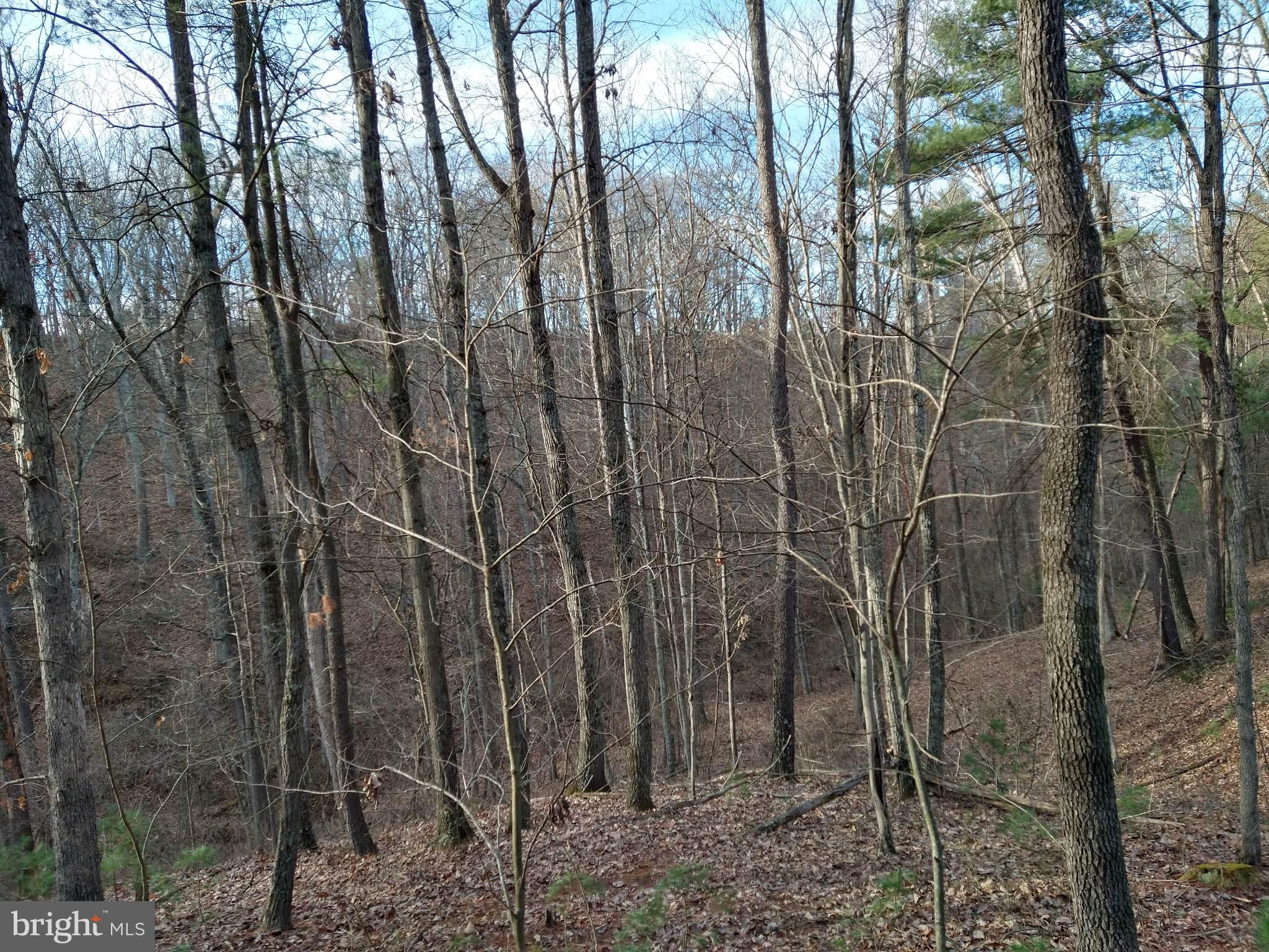 HICKORY CORNER - Residential