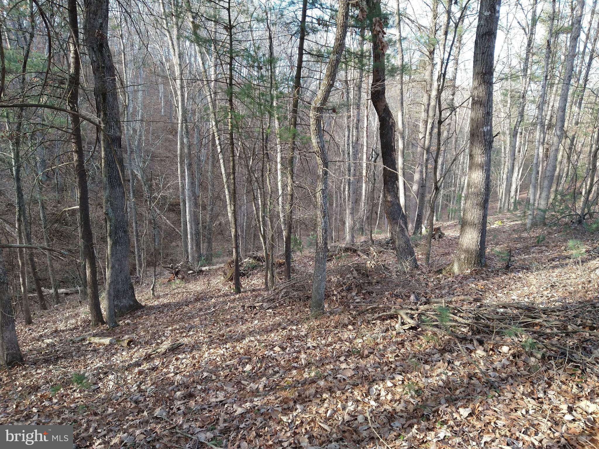 HICKORY CORNER - Residential