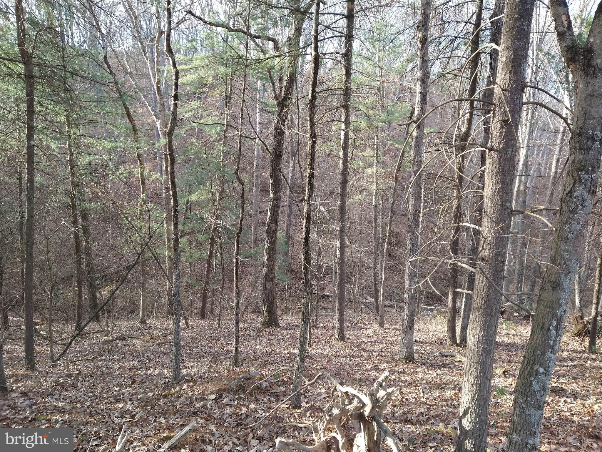 HICKORY CORNER - Residential