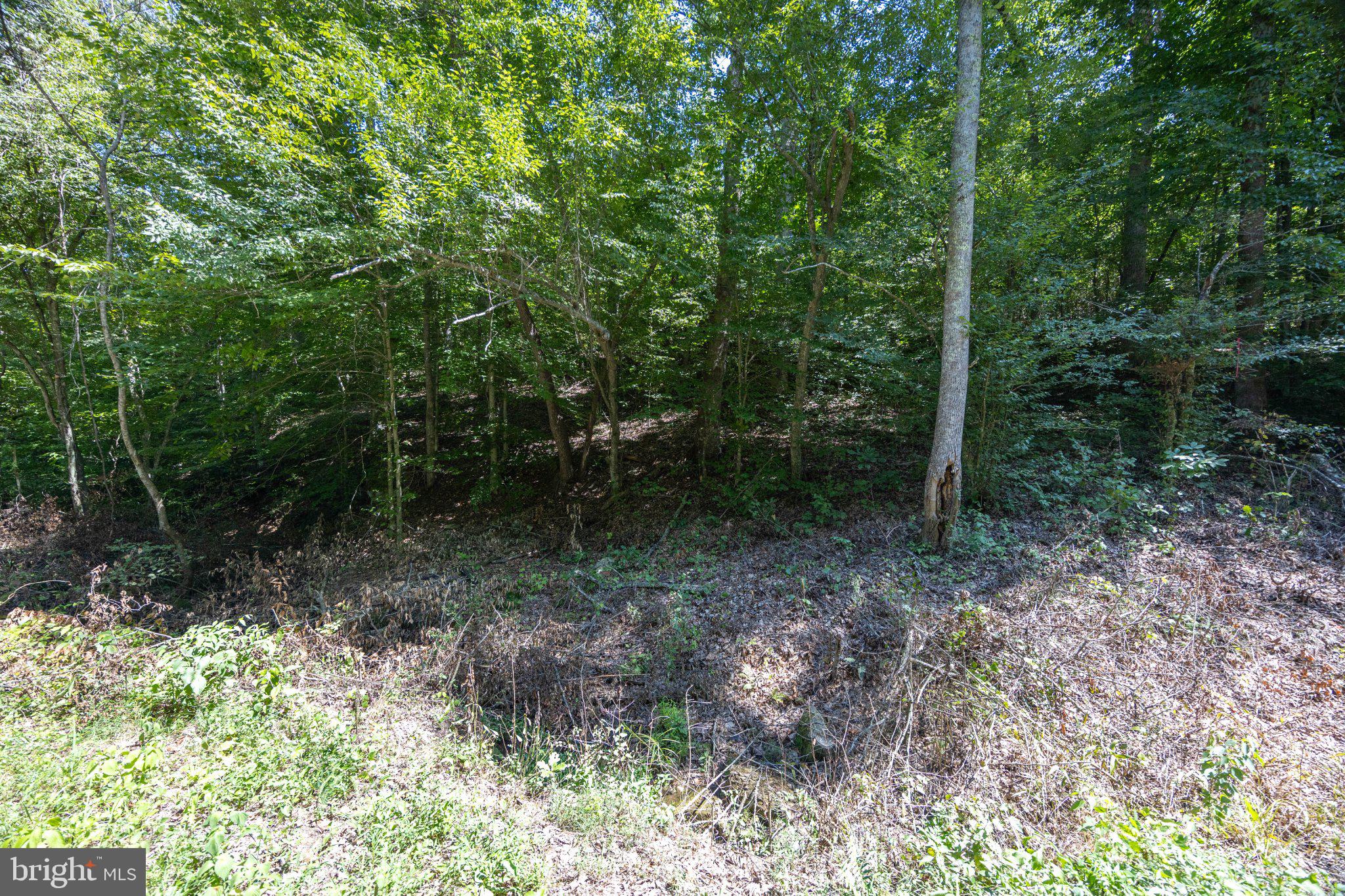 TBD GRASSLAND 6A