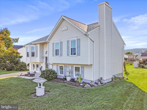 105 COLLIERY DRIVE THURMONT MD 21788