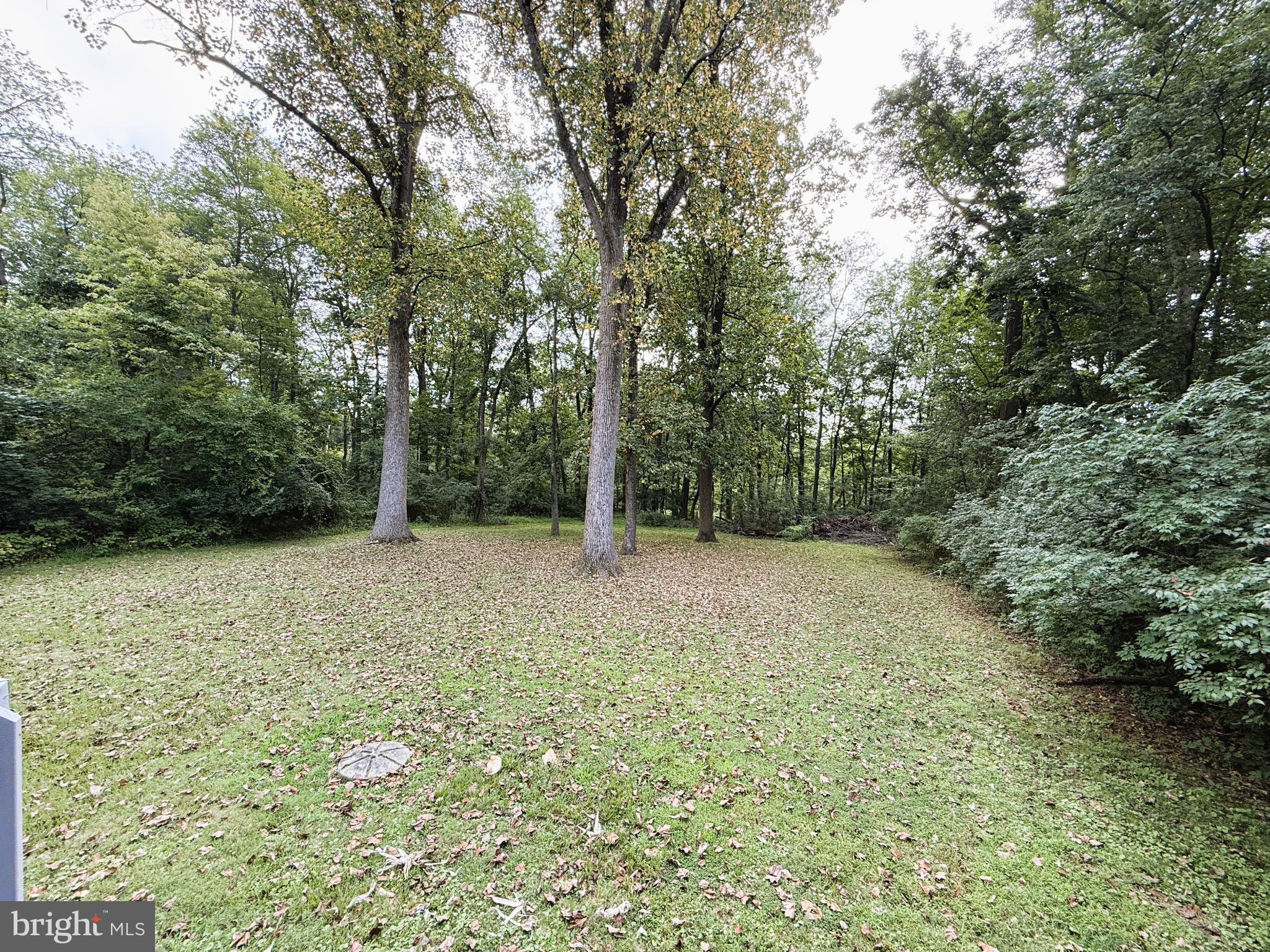 NONE AVAILABLE - Land