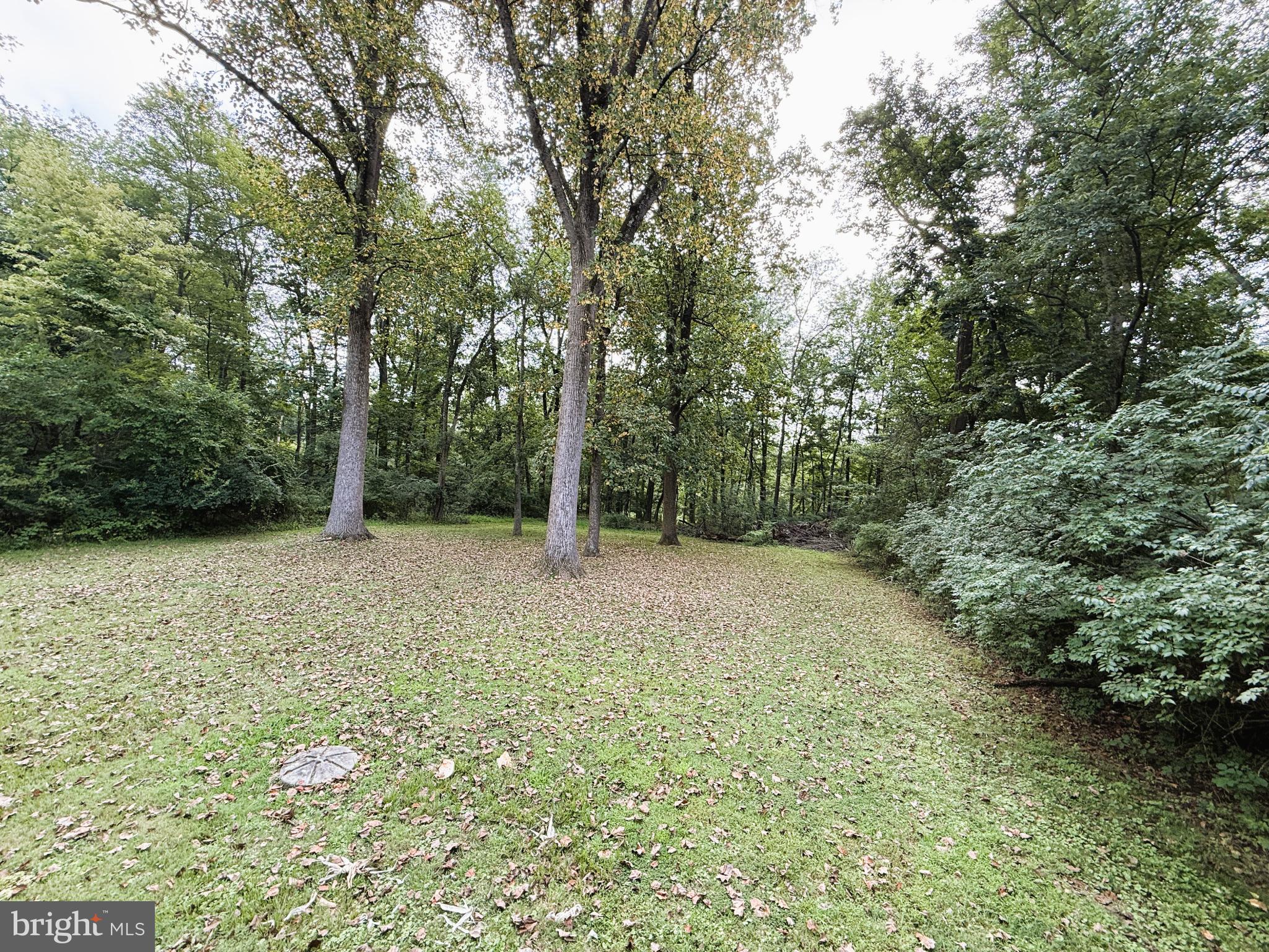 NONE AVAILABLE - Land