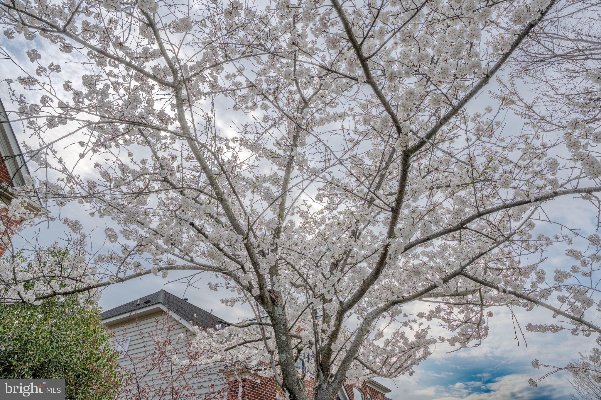 9215 SHAFERS MILL DRIVE