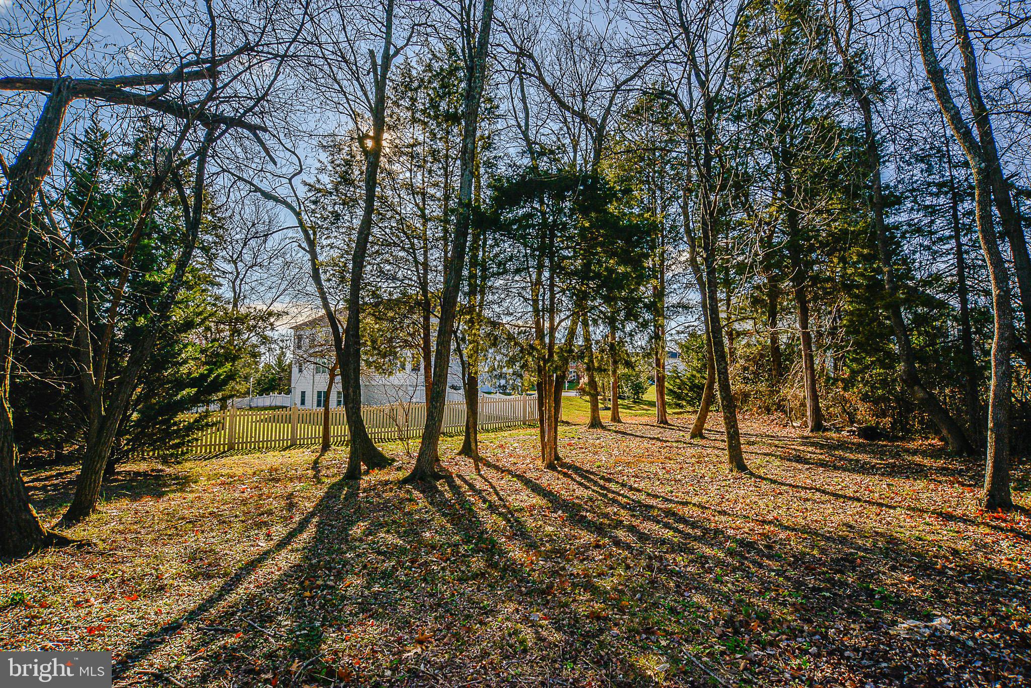 BELMONT COUNTRY CLUB - Residential