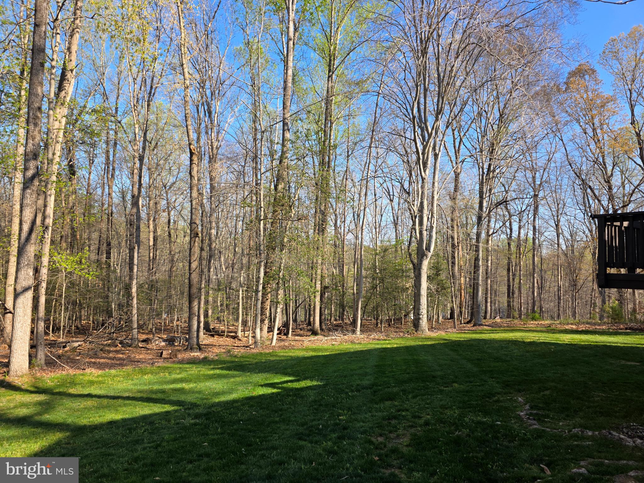 SHADOWALK - Residential