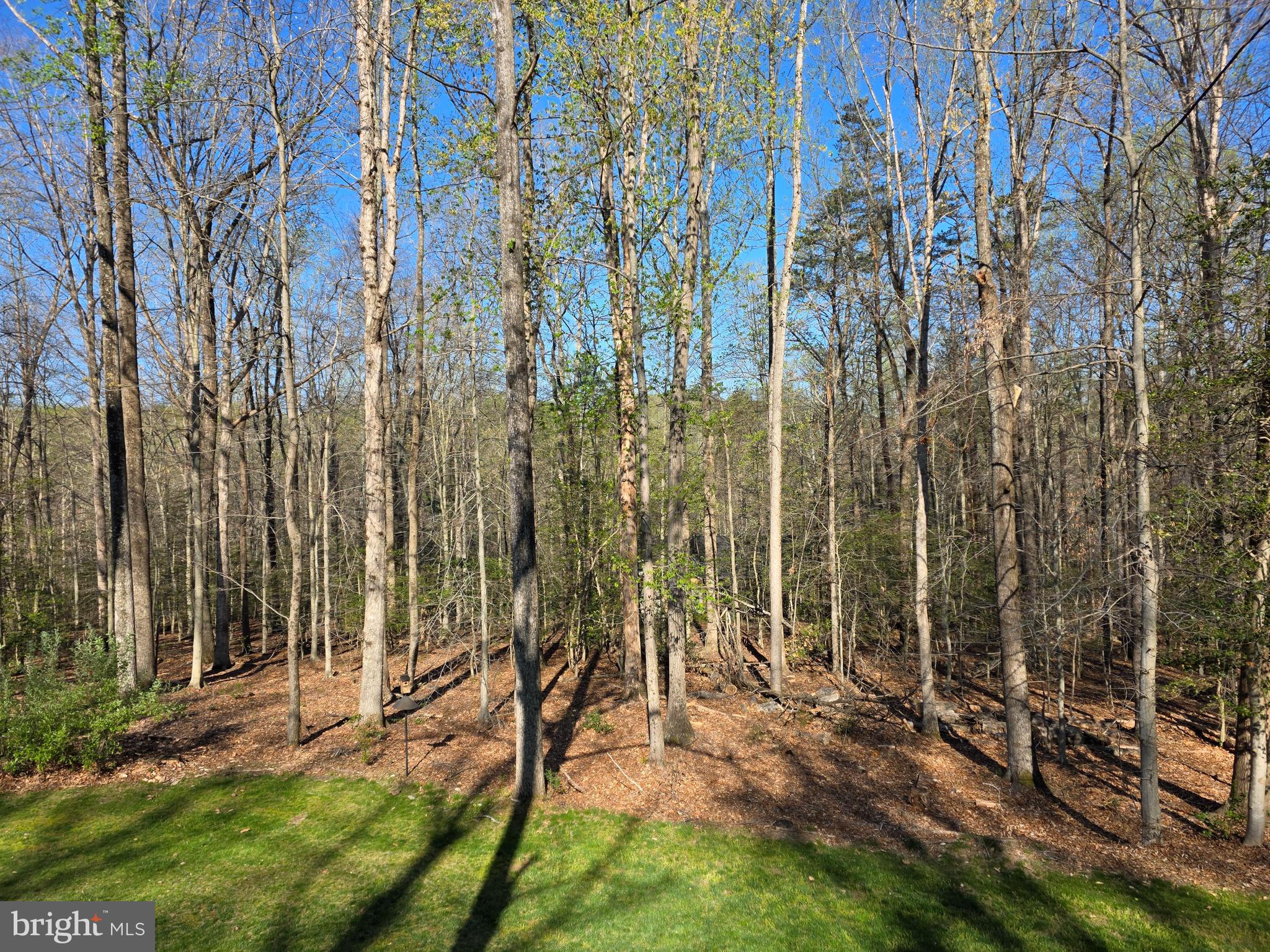 SHADOWALK - Residential