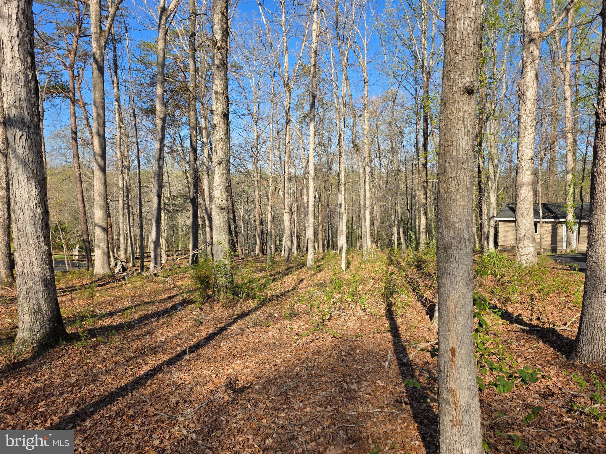 SHADOWALK - Residential