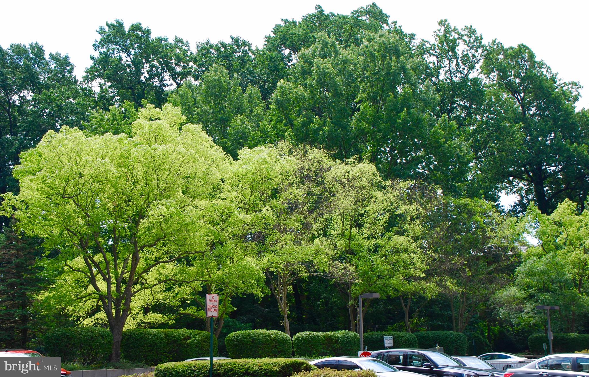 ENCORE OF MCLEAN - Residential Lease