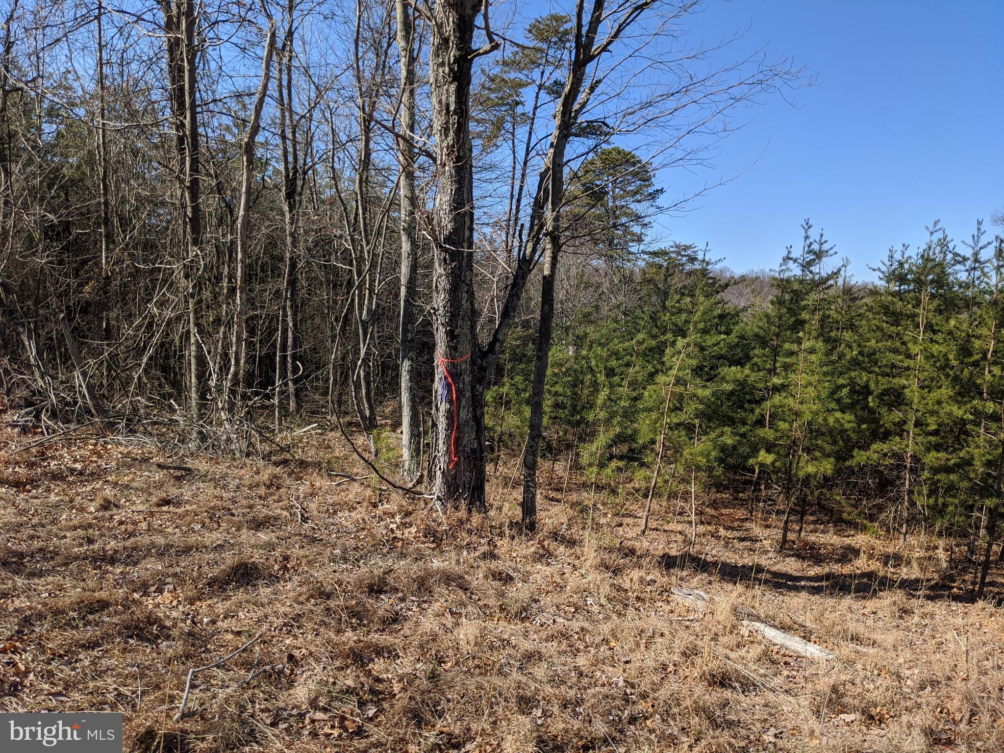 DEHAVEN ESTATES - Land