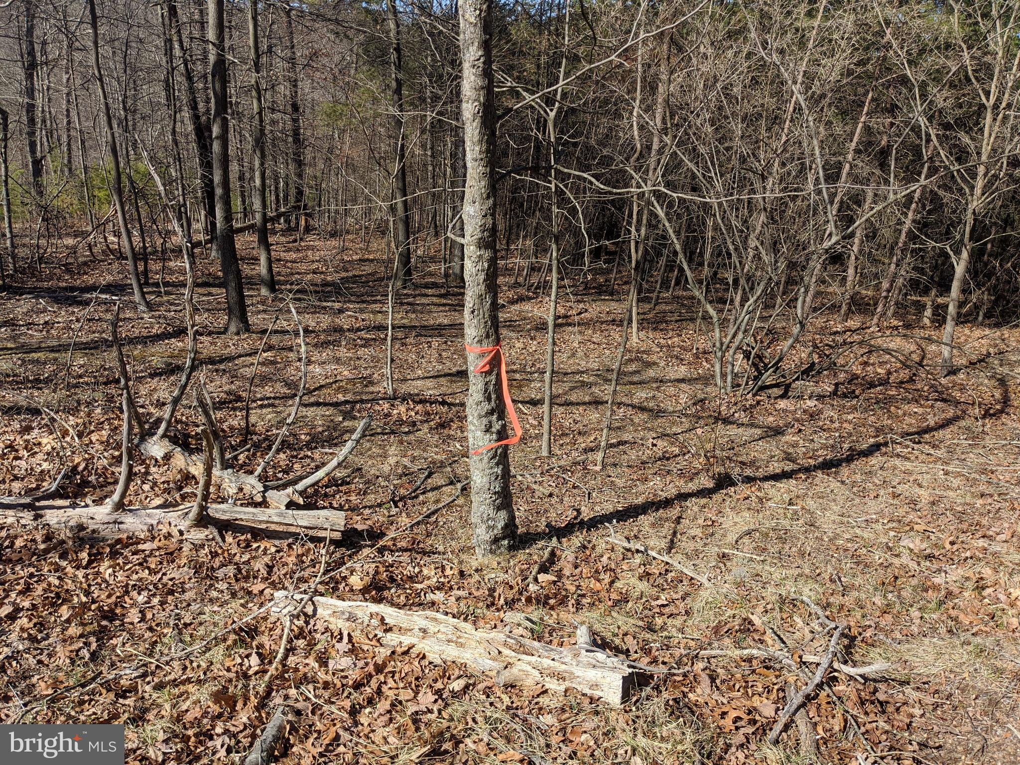 DEHAVEN ESTATES - Land