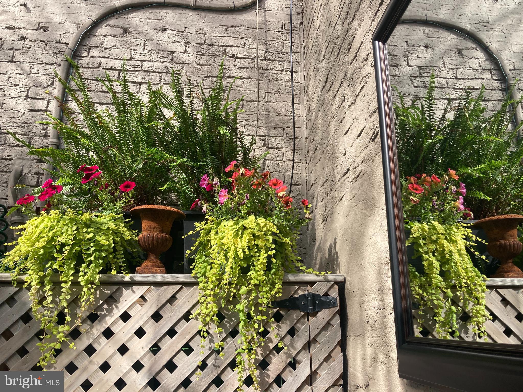 BUTCHERS HILL - Residential