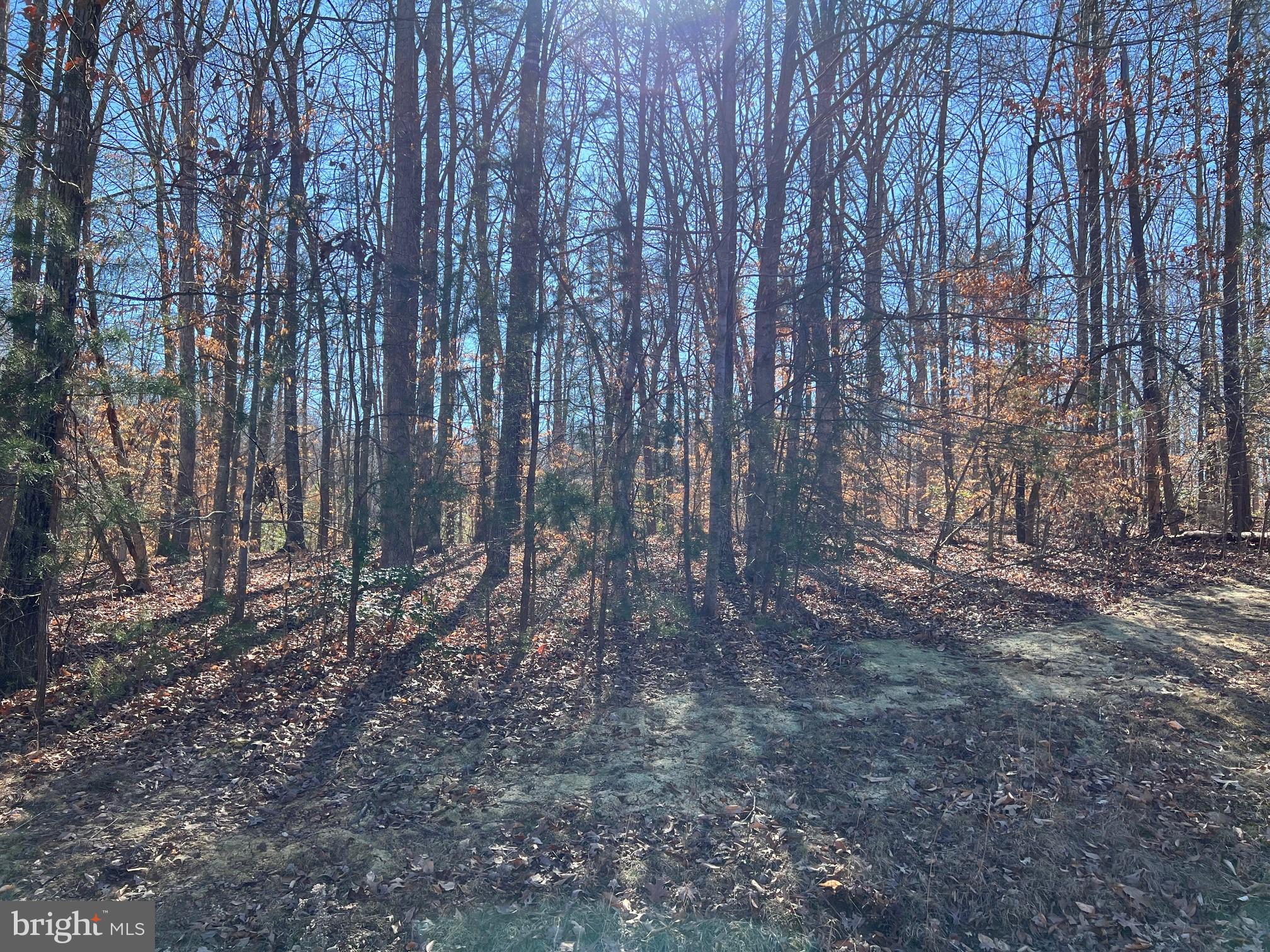 NOAH'S LANDING - Land