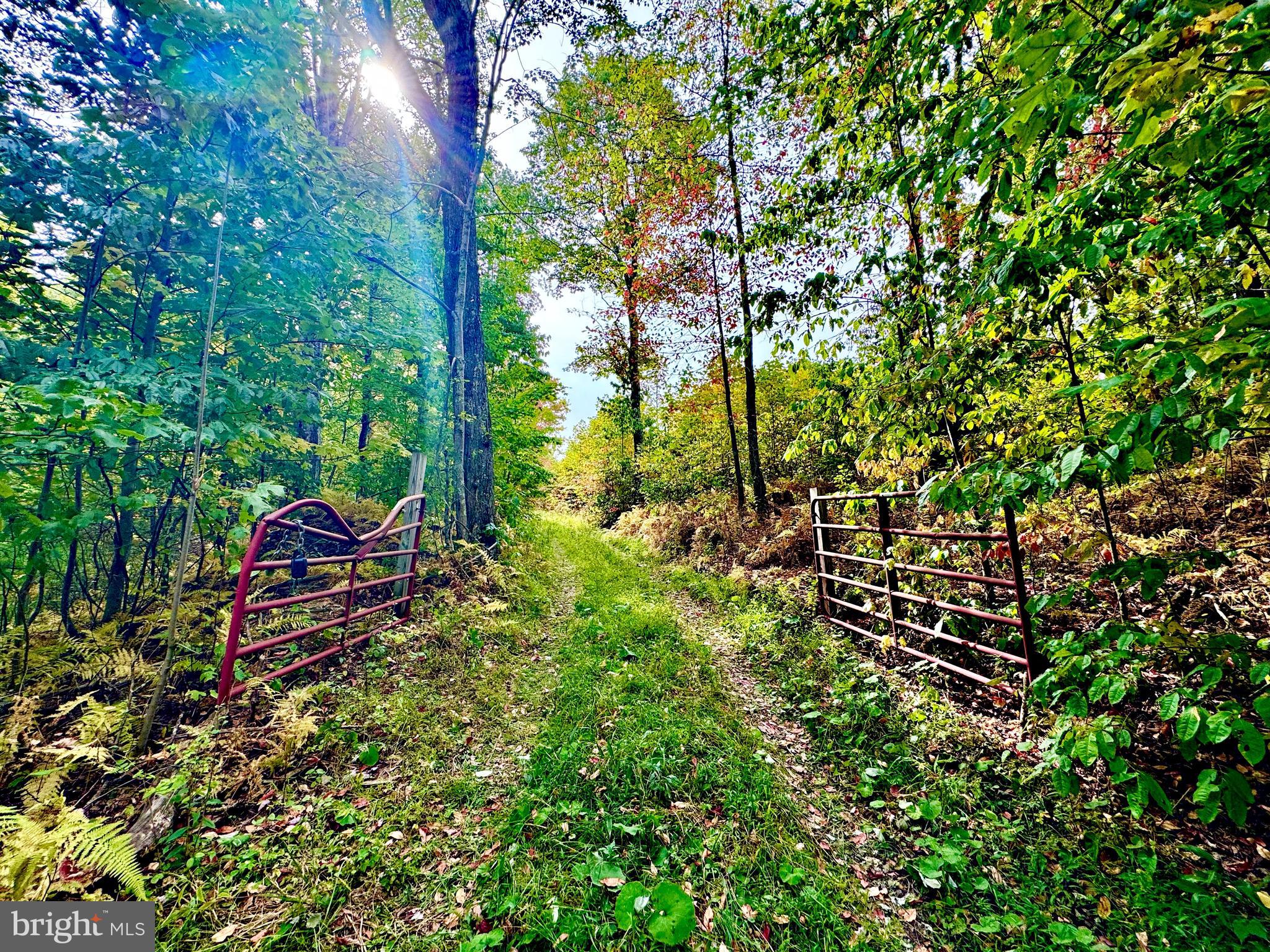 TBD KNOBTOWN ROAD