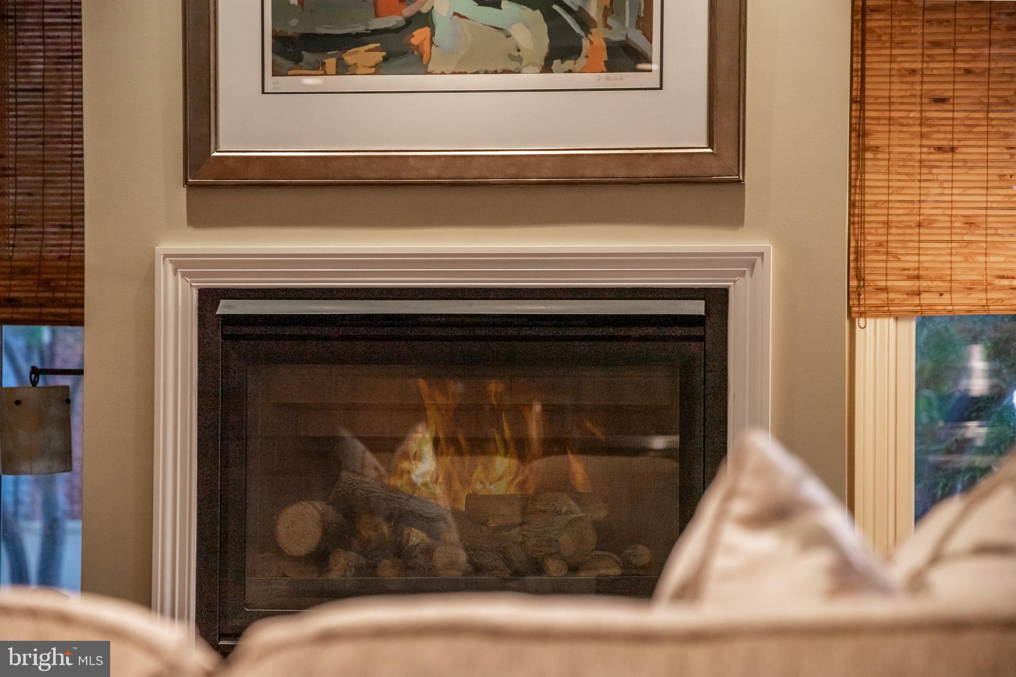 NORTH SHORE - Residential