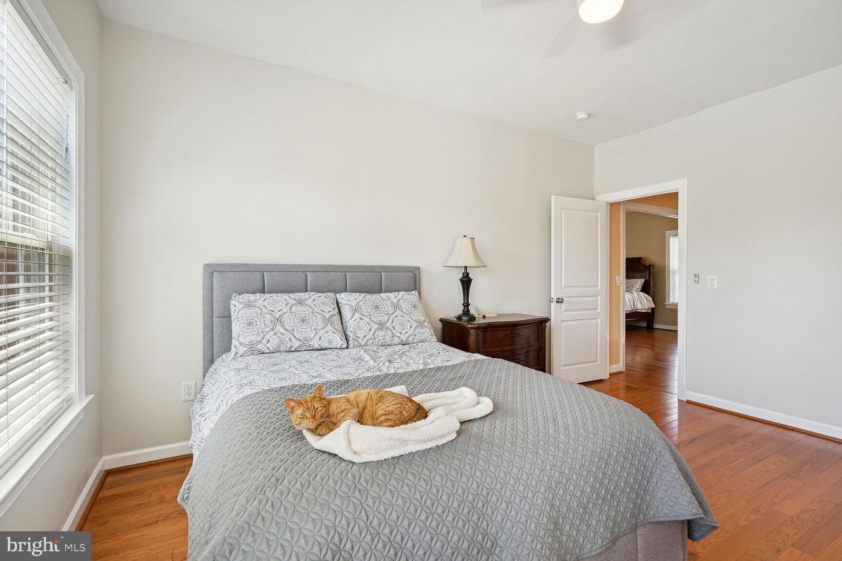 VICTORY RIDGE - Residential