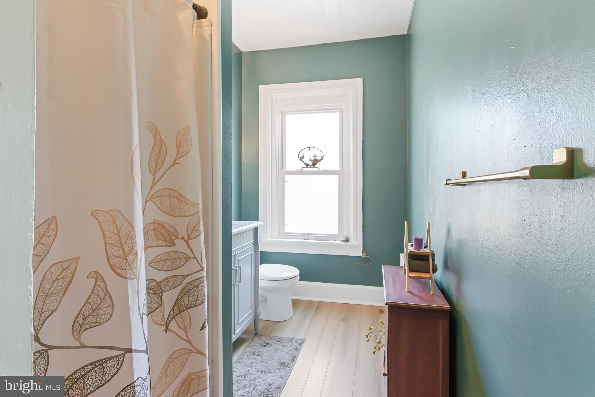 CHESTNUT HILL - Residential