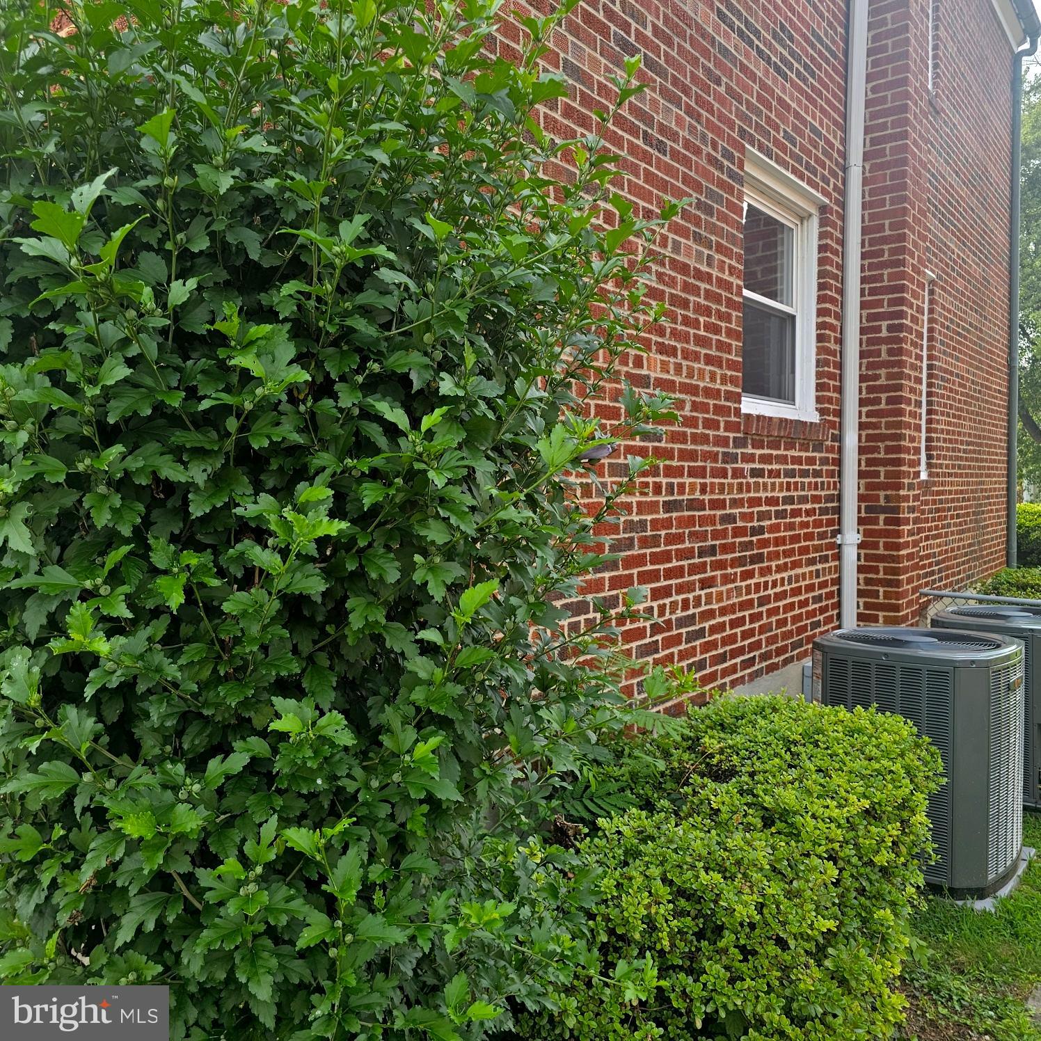1441 KIRKWOOD