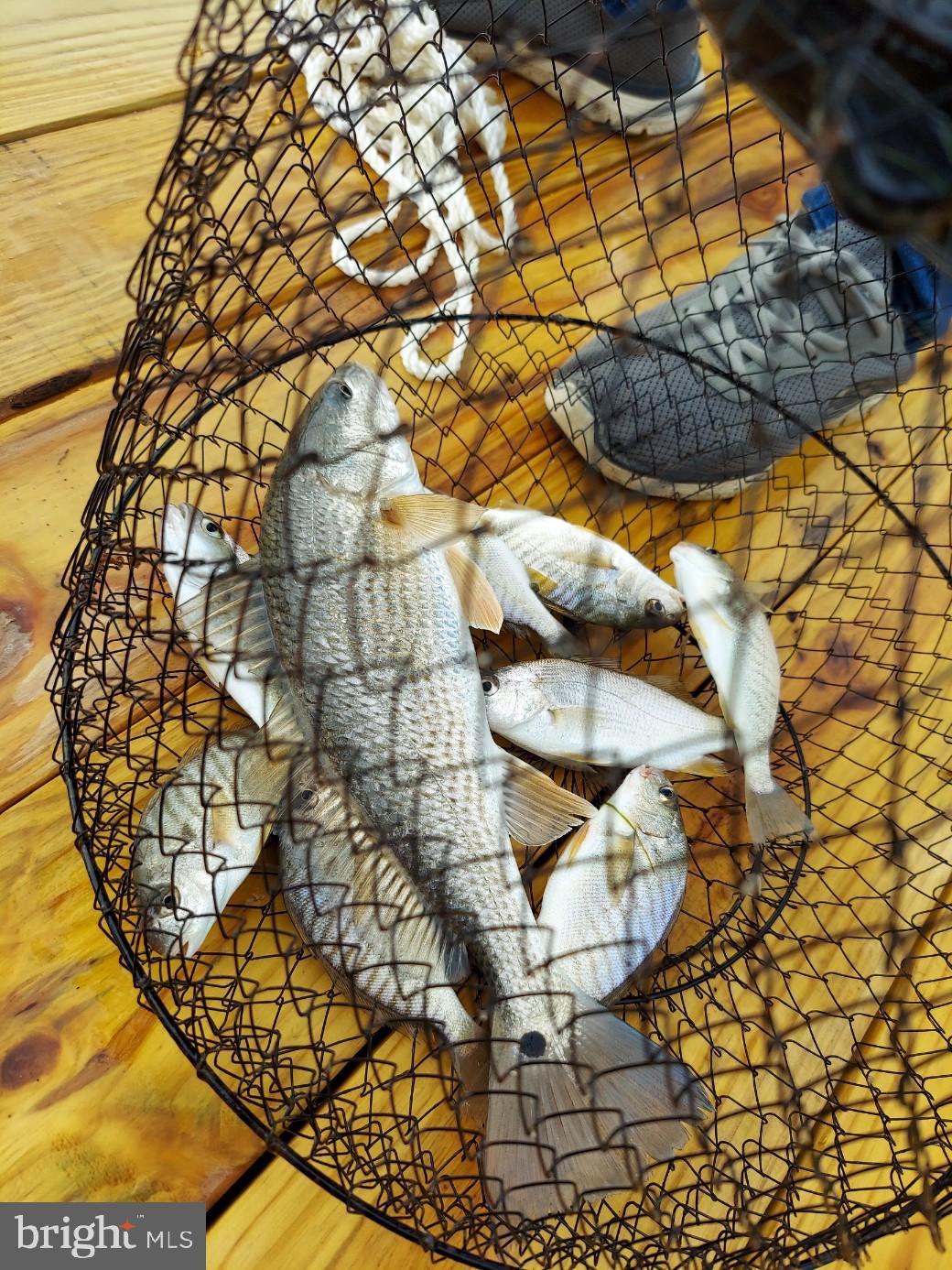 LEVERINGS - Residential