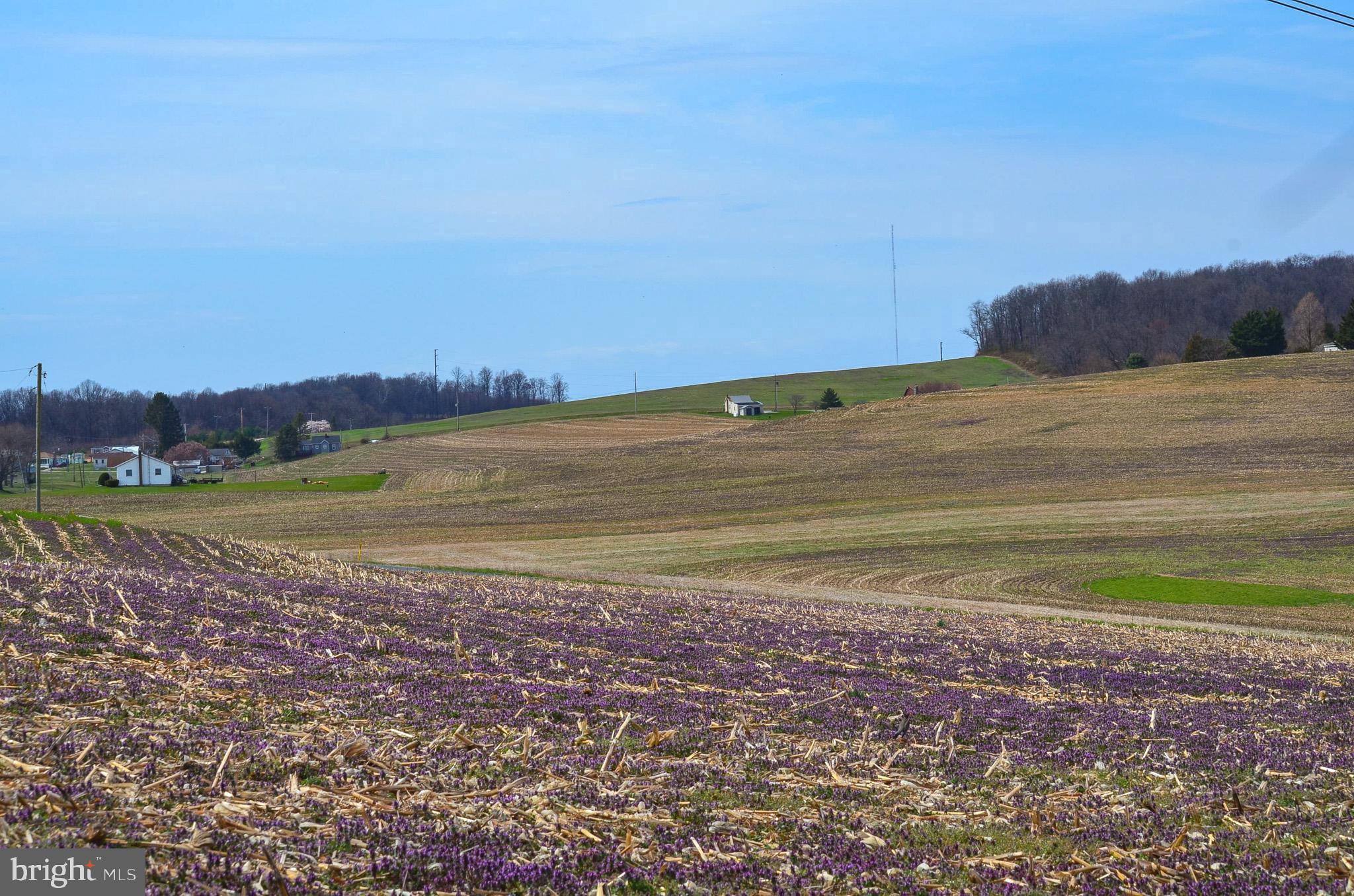 SNYDER CORNER - Residential