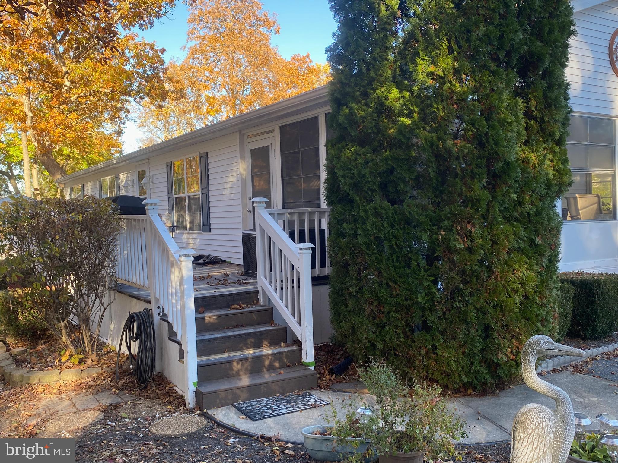 33284 HIGH BUSH 2662