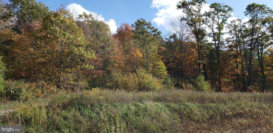 117.72 Acres Situated in The Mountains of Western Maryland, Bordering State Game Land, Short Distance to Metro Area, Short Trip to Deep Creek Lake, Unimproved Land Ready for Recreation, Hunting and All Your Dreams, Road Maintenance Agreement Required, not county maintained.