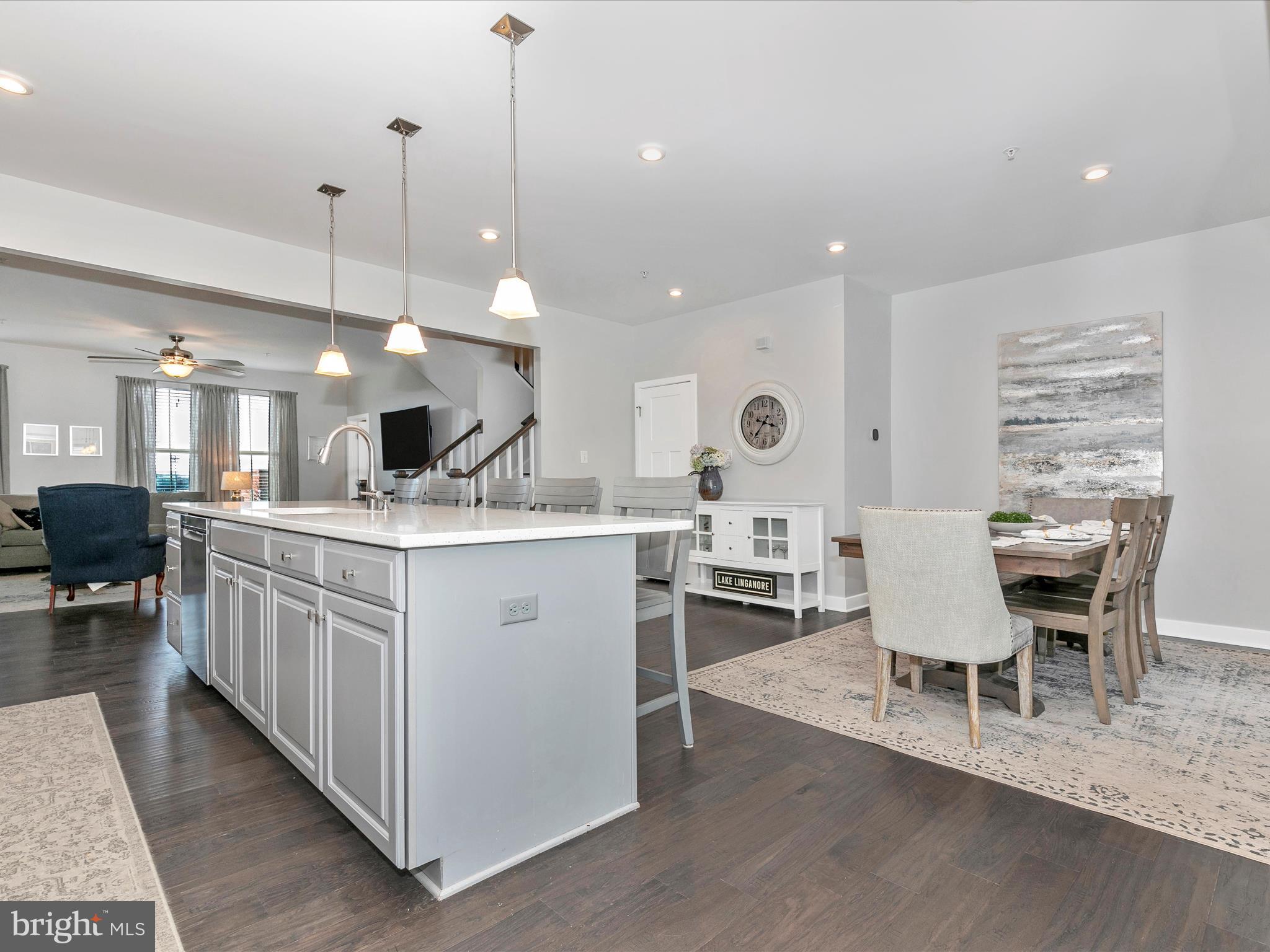 LAKE LINGANORE TOWN CENTER - Residential