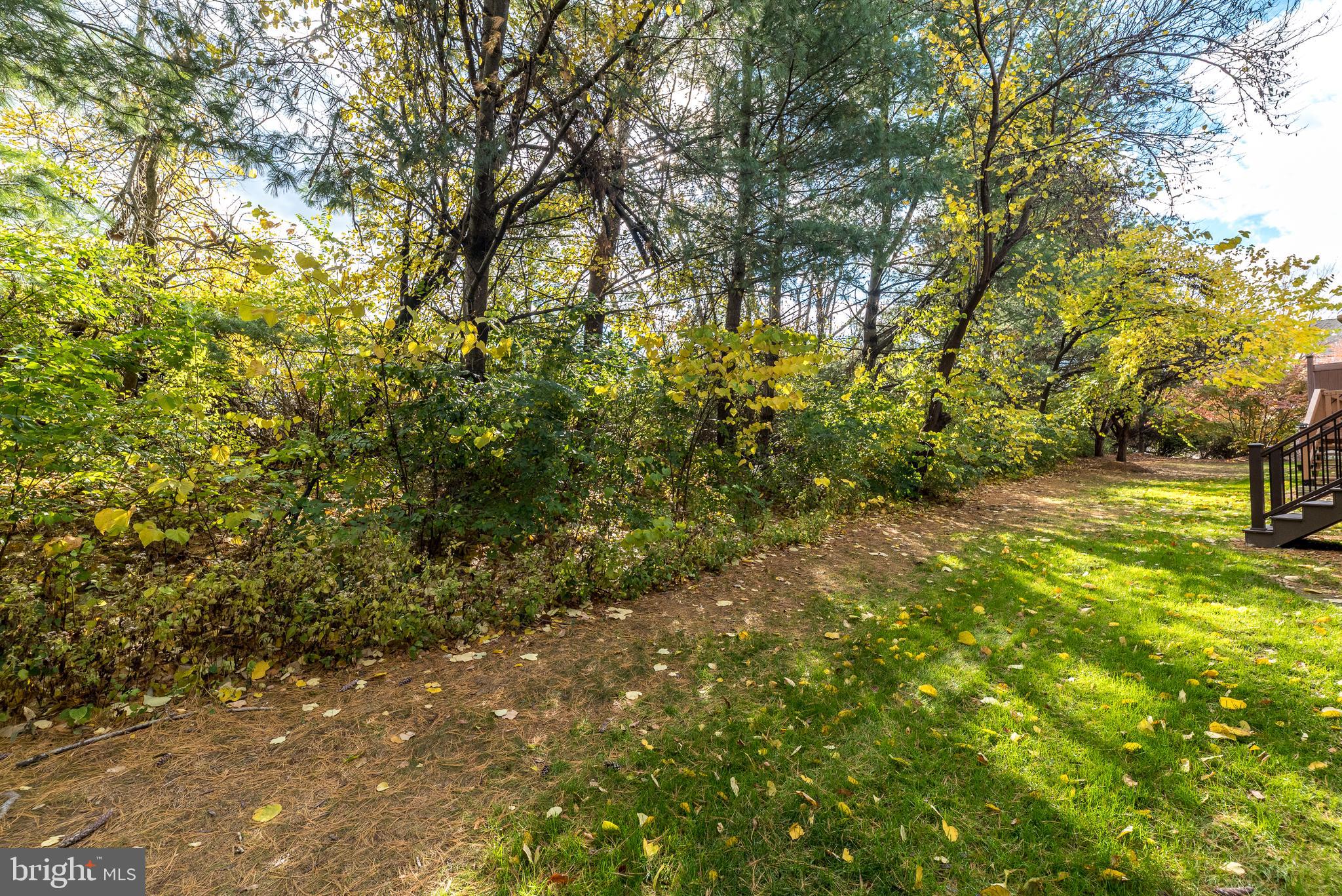 GARRISON GREENE - Residential Lease