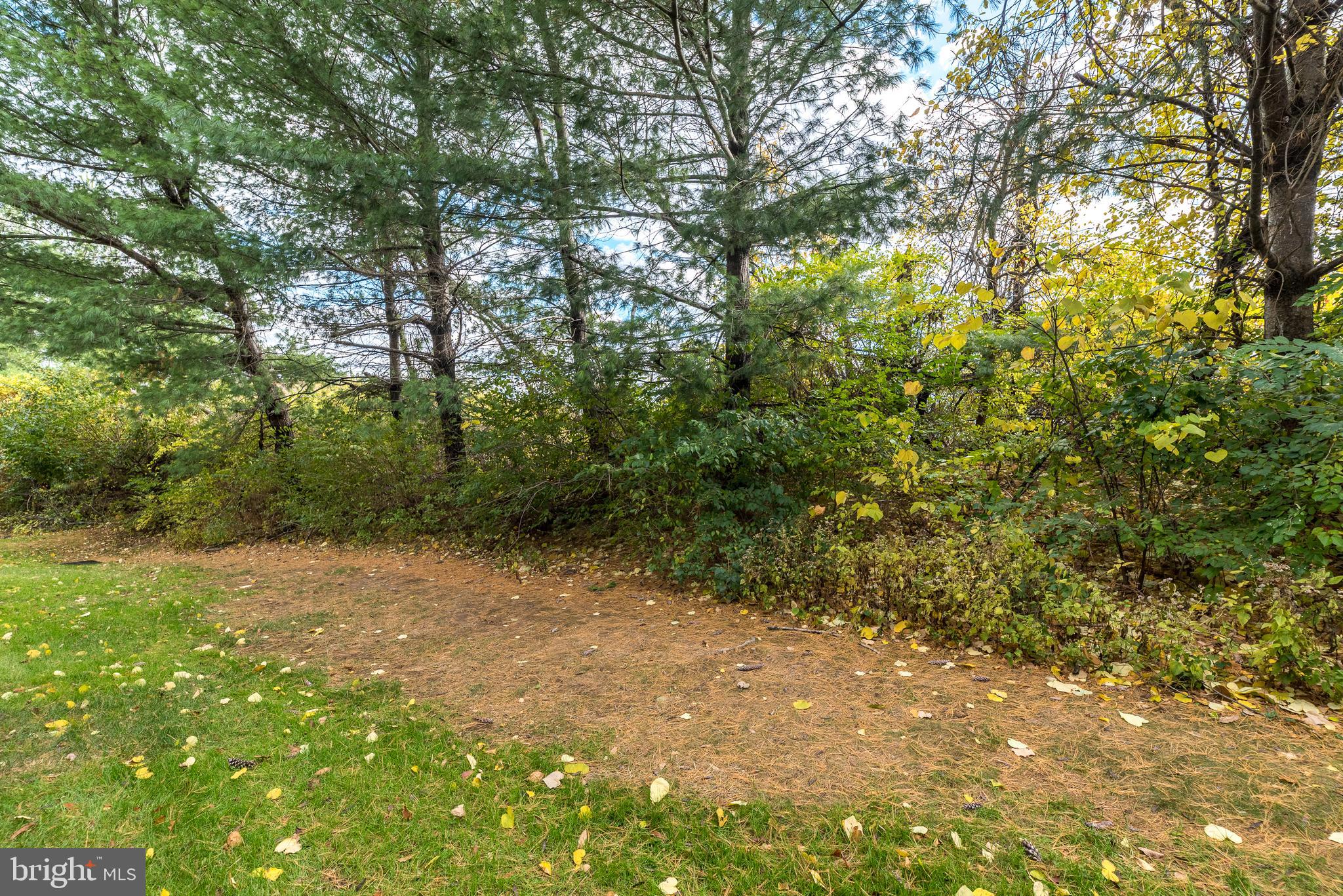 GARRISON GREENE - Residential Lease