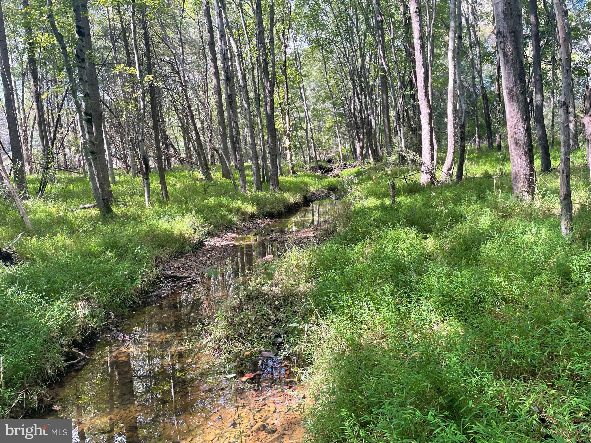 SPRINGDALE - Residential