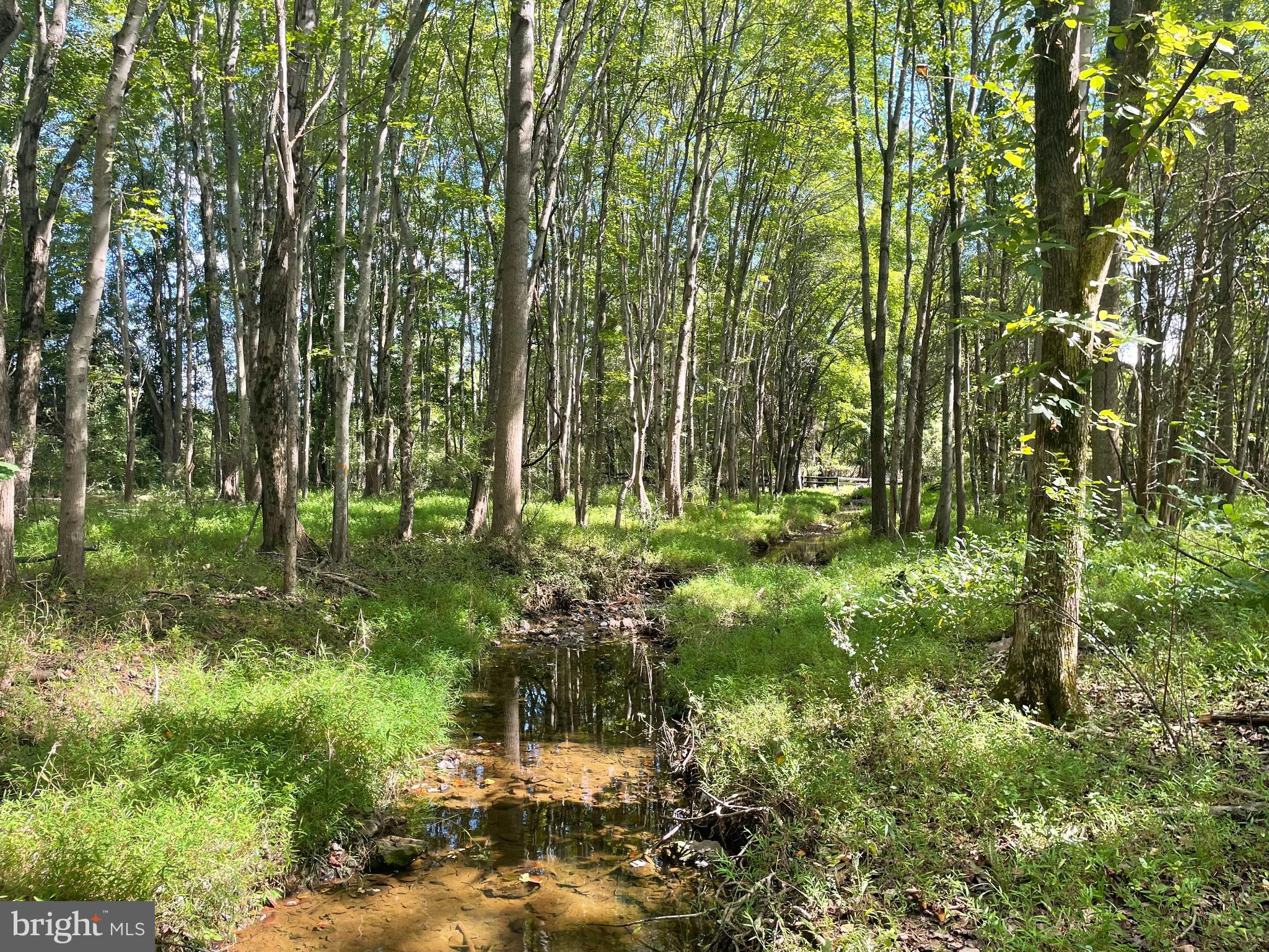 SPRINGDALE - Residential