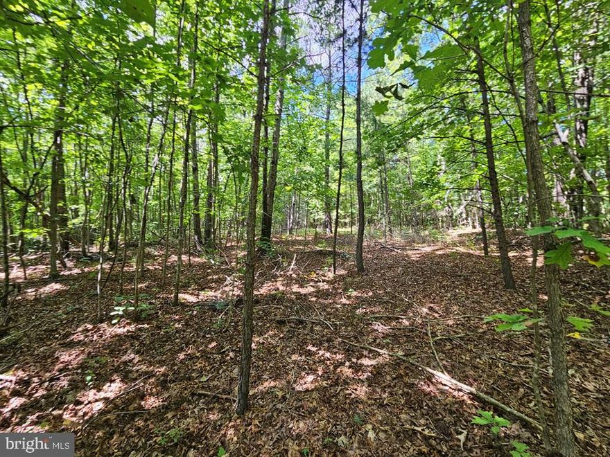 Nature lovers dream! 100 Ac Tract, all wooded with predominantly hardwoods. Nice and easy to walk, this gently rolling land with creeks and abundant wildlife is one of the best land tracts I've seen! This is a great place to build your dream home and/or use for recreation. Short drive to James River (Bent Creek) and James River State Park and many, many historical sites like Appomattox Court House, Monticello, Richmond and much more. Approximately an hour to Lynchburg or Charlottesville and an hour and a half to Richmond, Va.