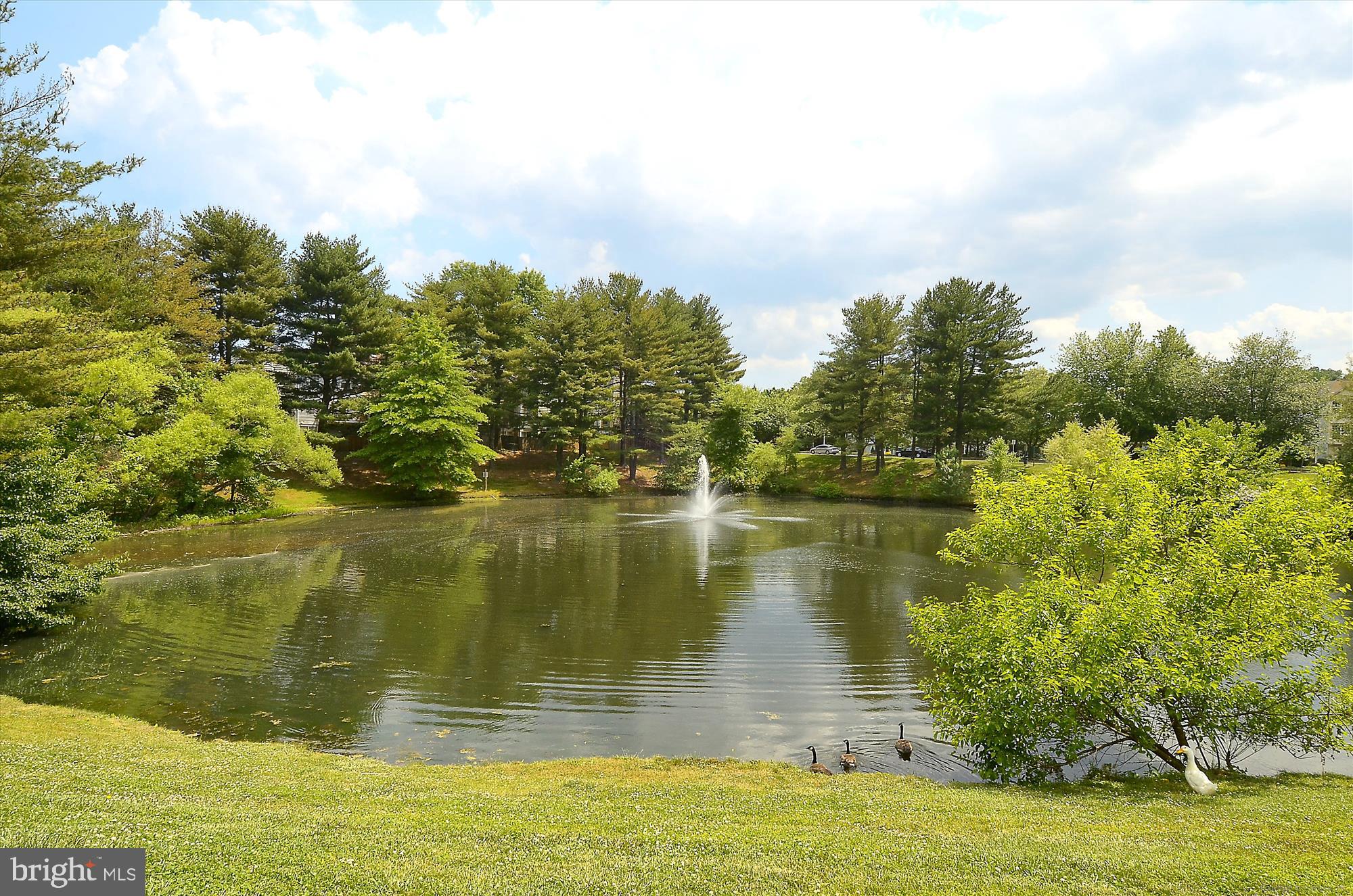 CROFTON MEWS CONDO - Residential