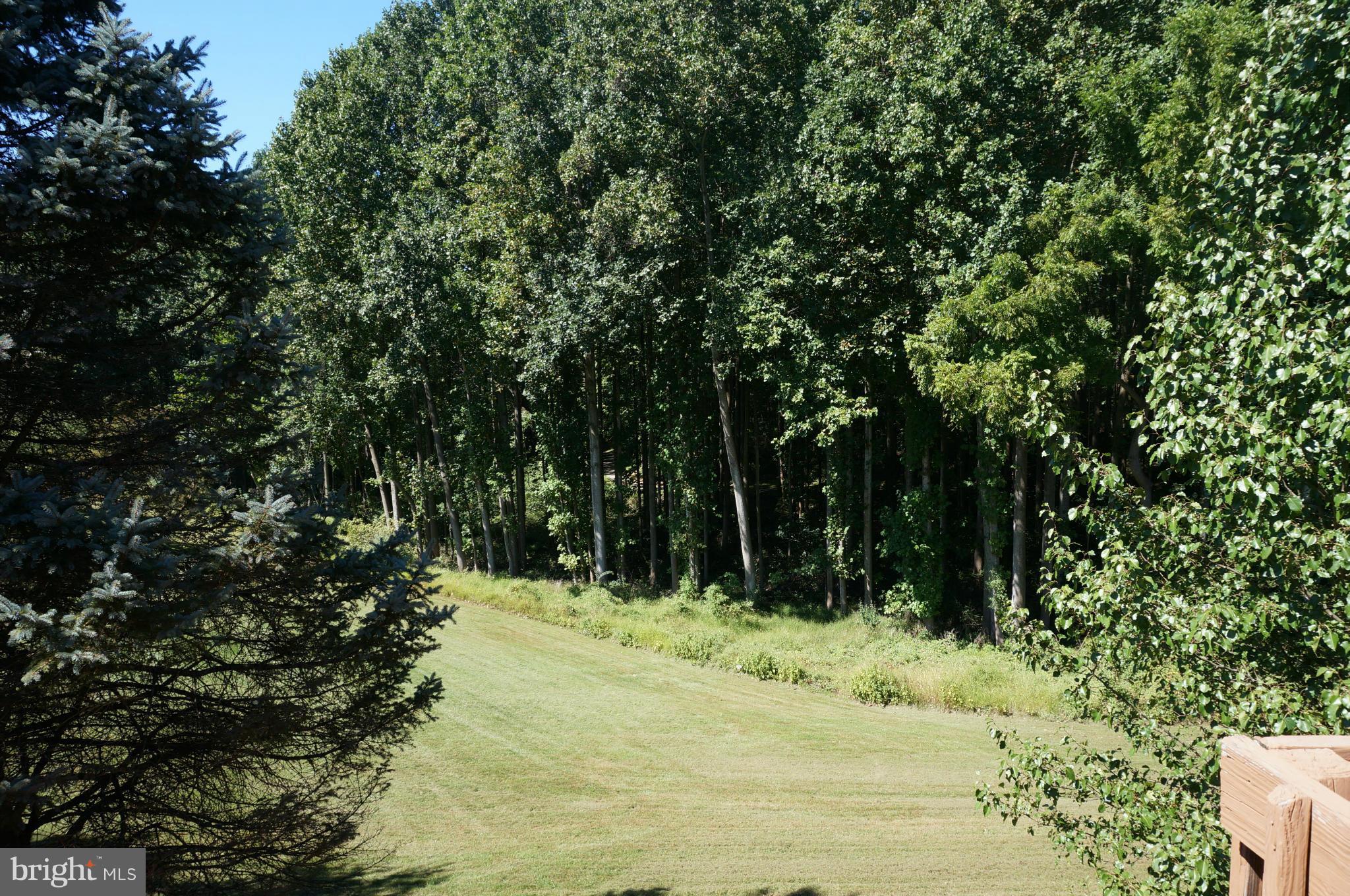 CLARY'S FOREST - Residential